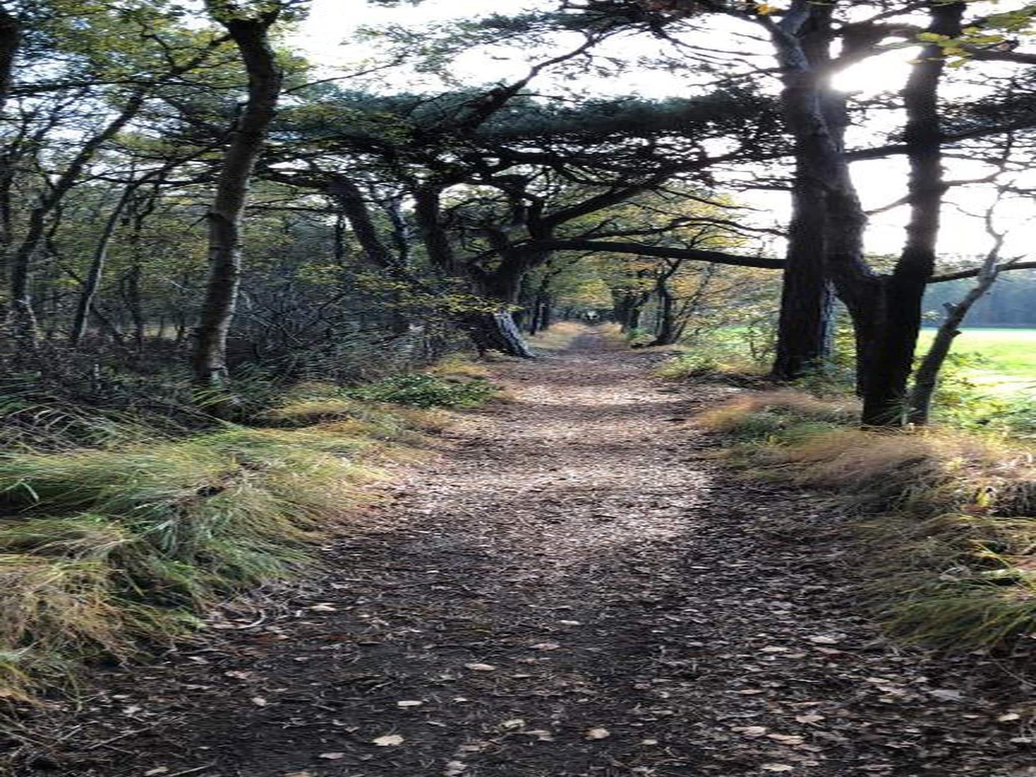 Waterpark Terkaple 3 in Terkaple - Foto 26 van 40