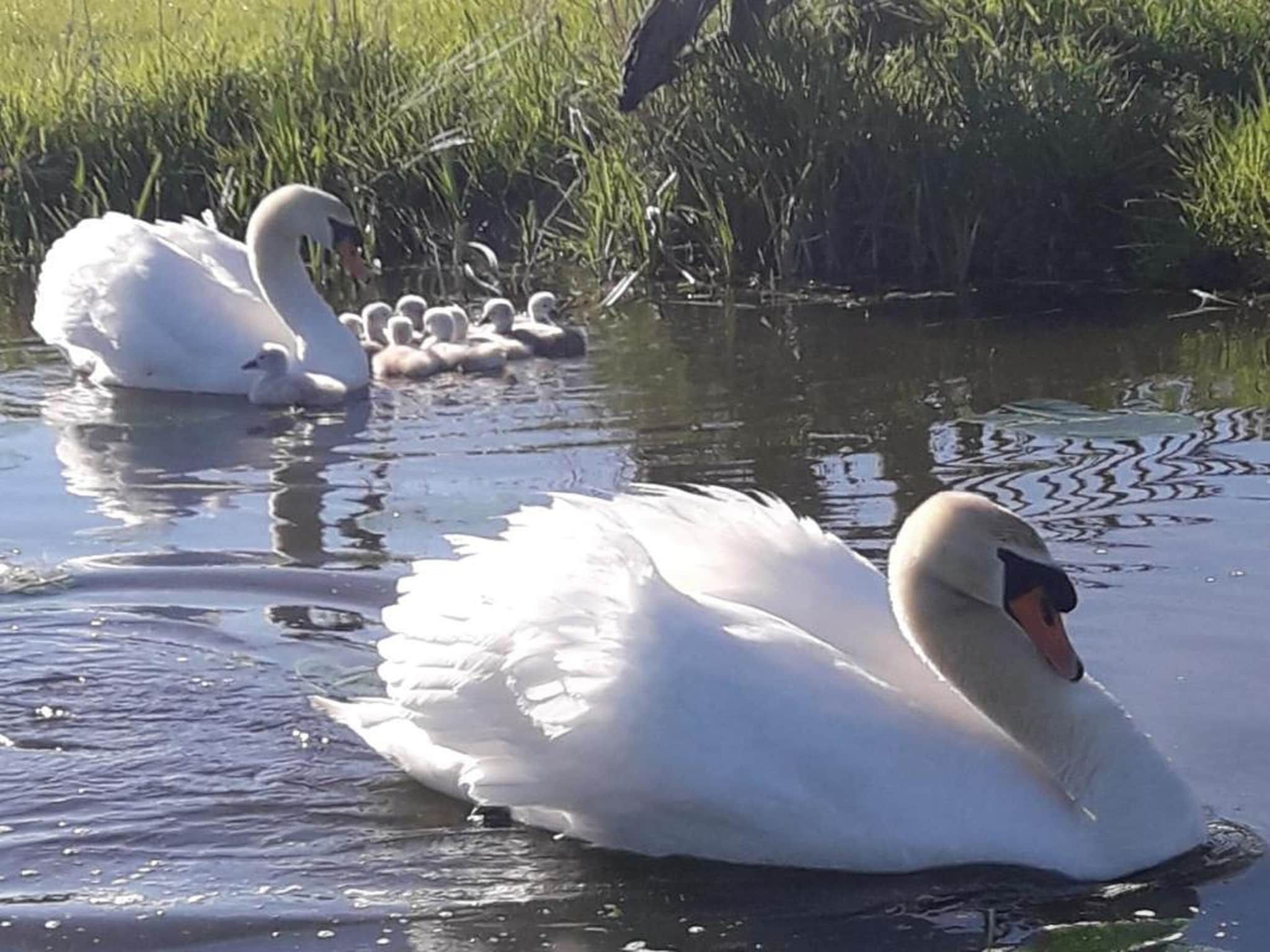 Waterpark Terkaple 3 in Terkaple - Foto 32 van 40