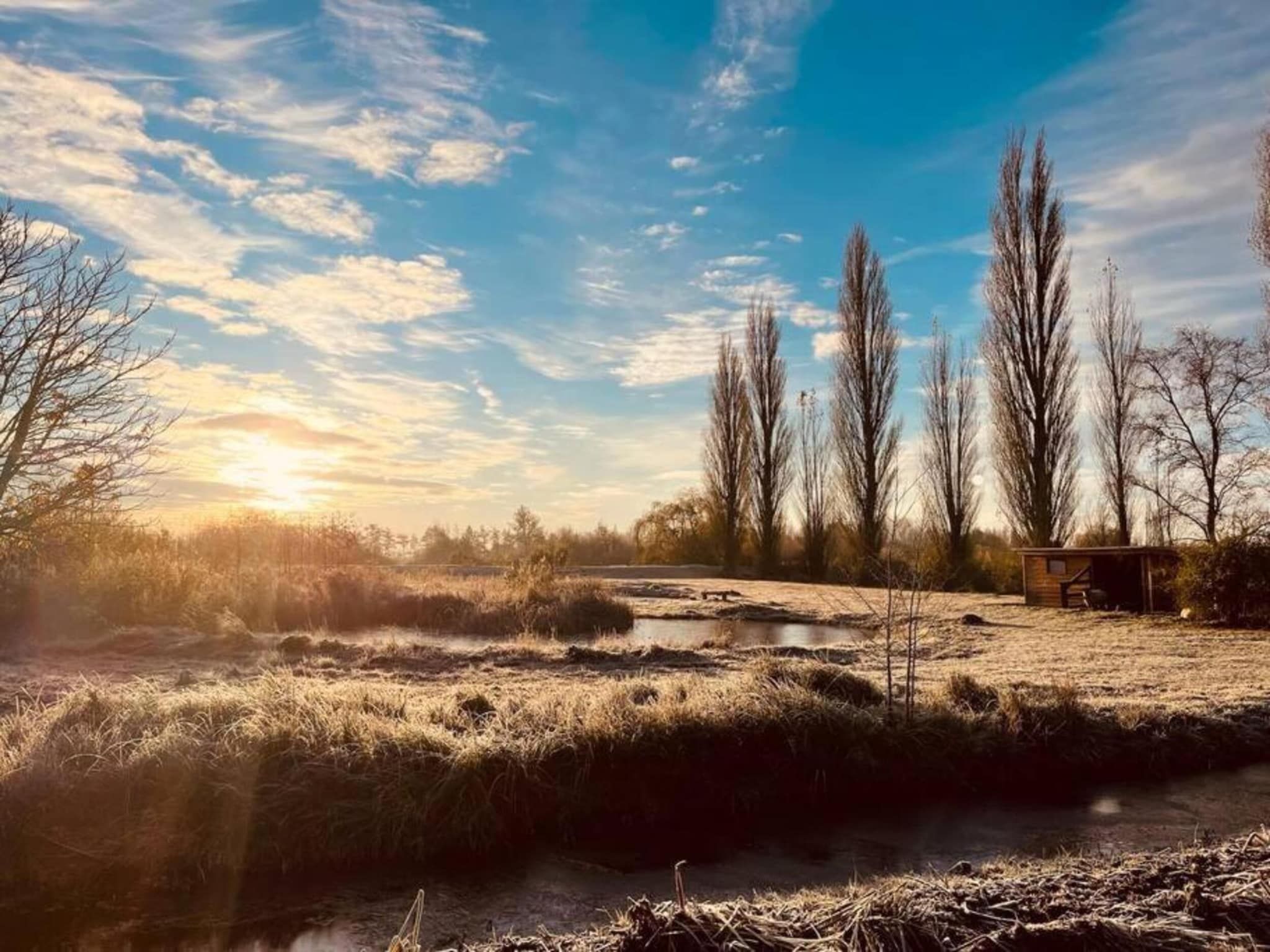 Friese Meren Villa's 2 in Delfstrahuizen - Foto 27 van 35