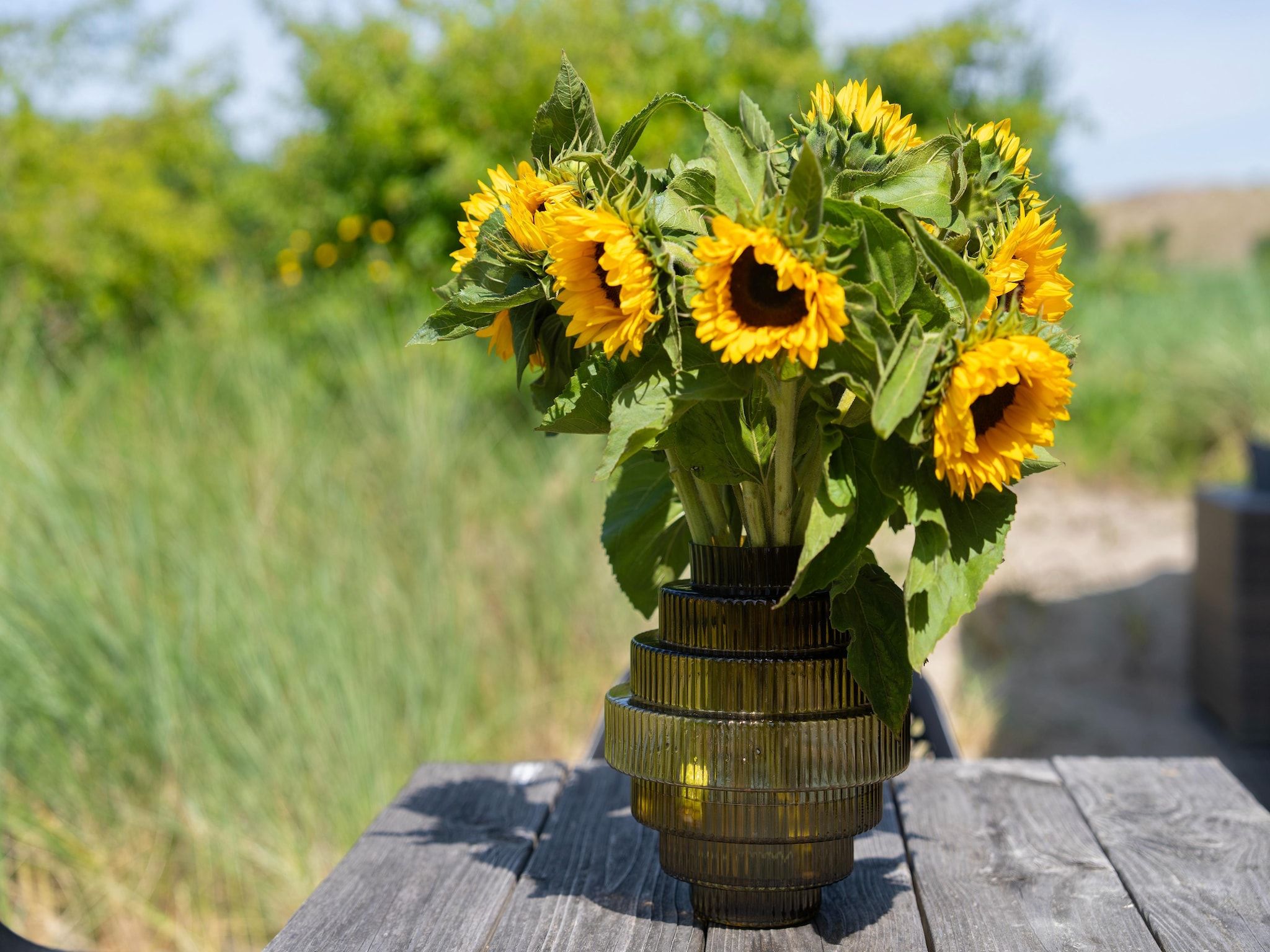 Sfeerbeeld van Duinvilla aan het Meer in Egmond aan den Hoef