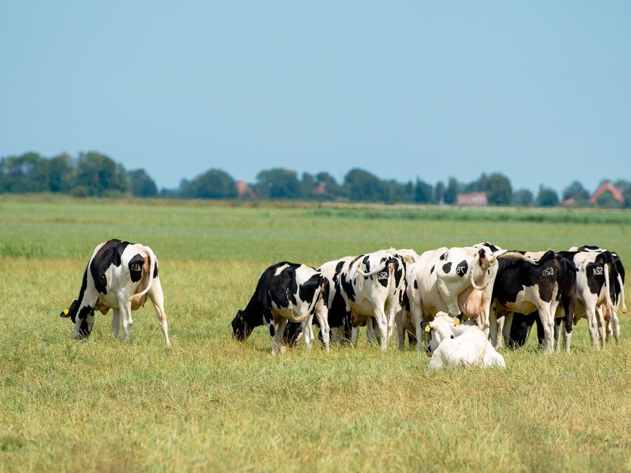 Waterpark Langelille 1 in Langelille - Foto 21 van 44