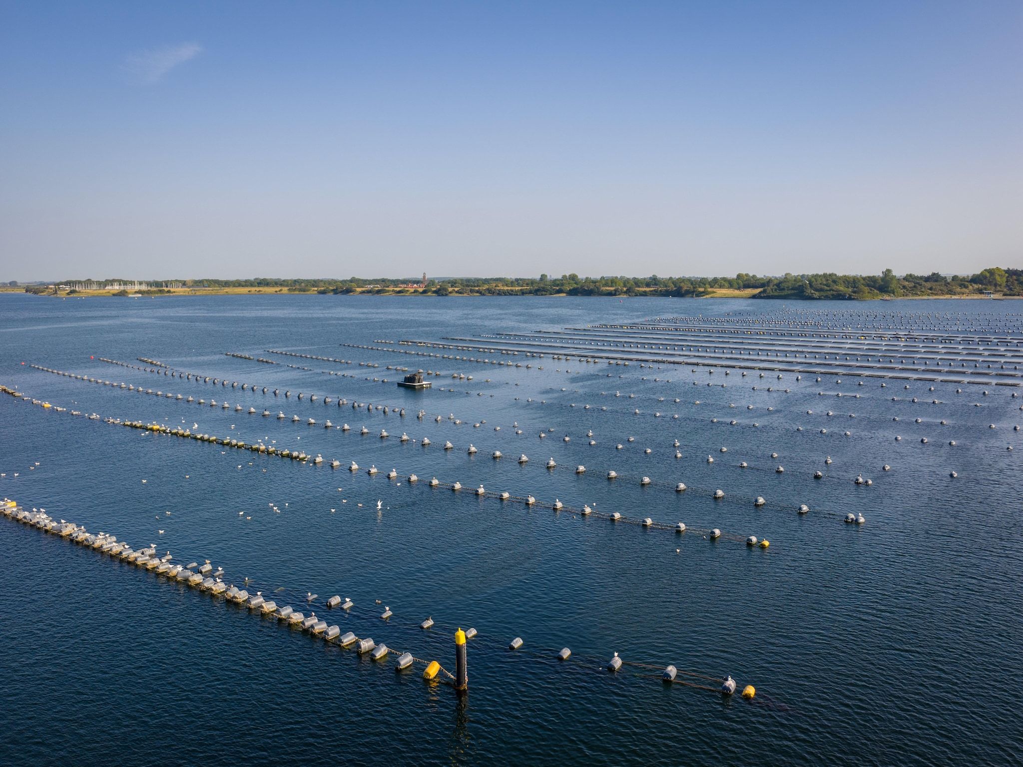 De omgeving van Eco Resort Grevelingenstrand in Ouddorp