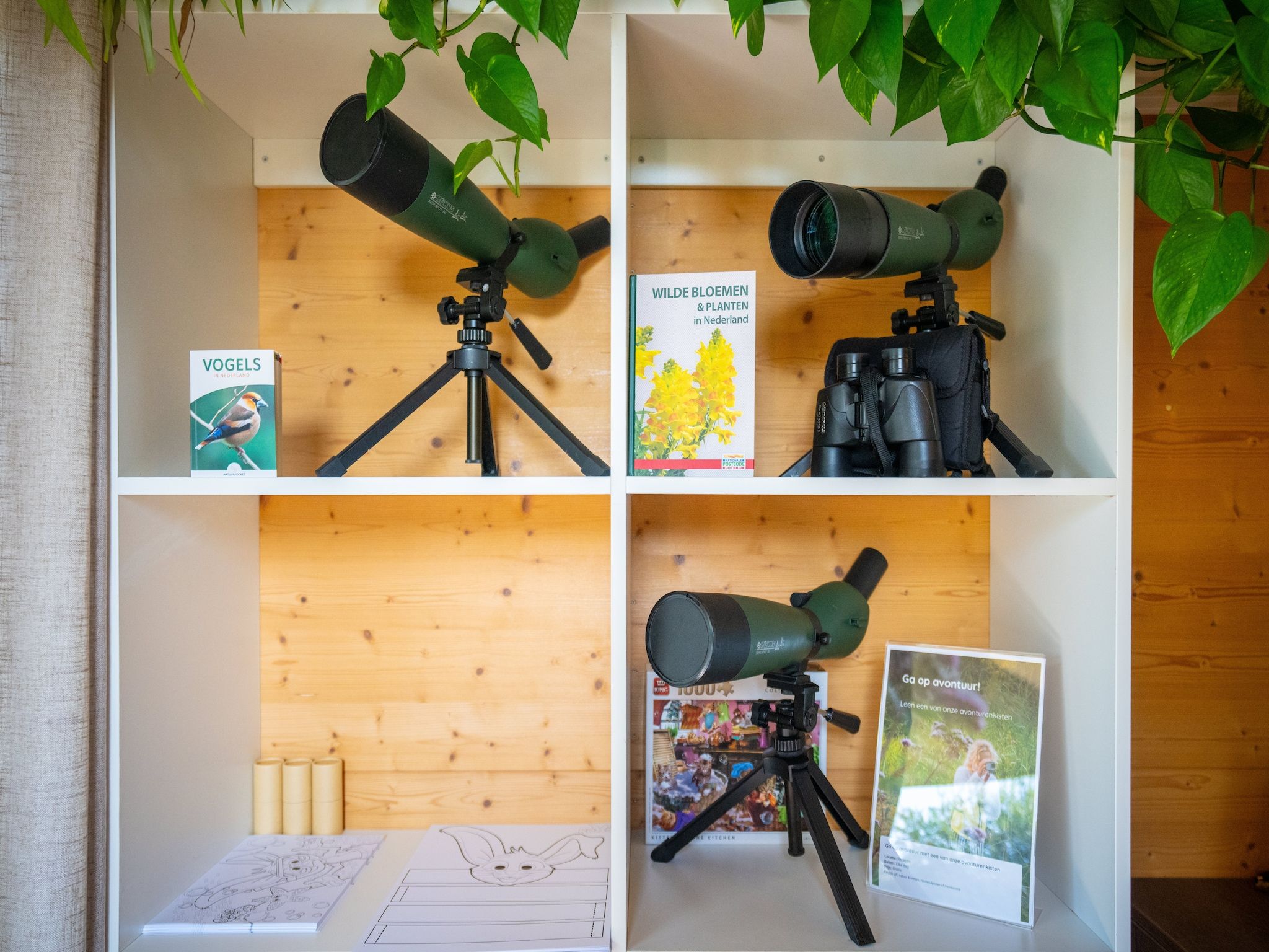 Sfeerbeeld van Eco Resort Grevelingenstrand in Ouddorp