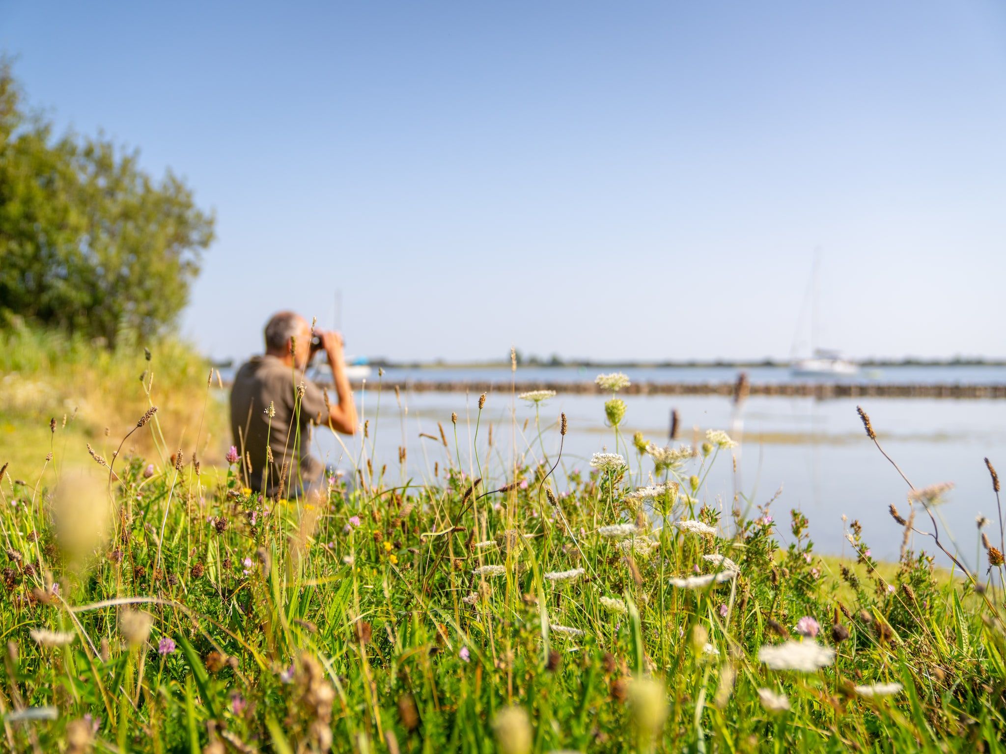 Eco Resort Grevelingenstrand in Ouddorp - Foto 24 van 34