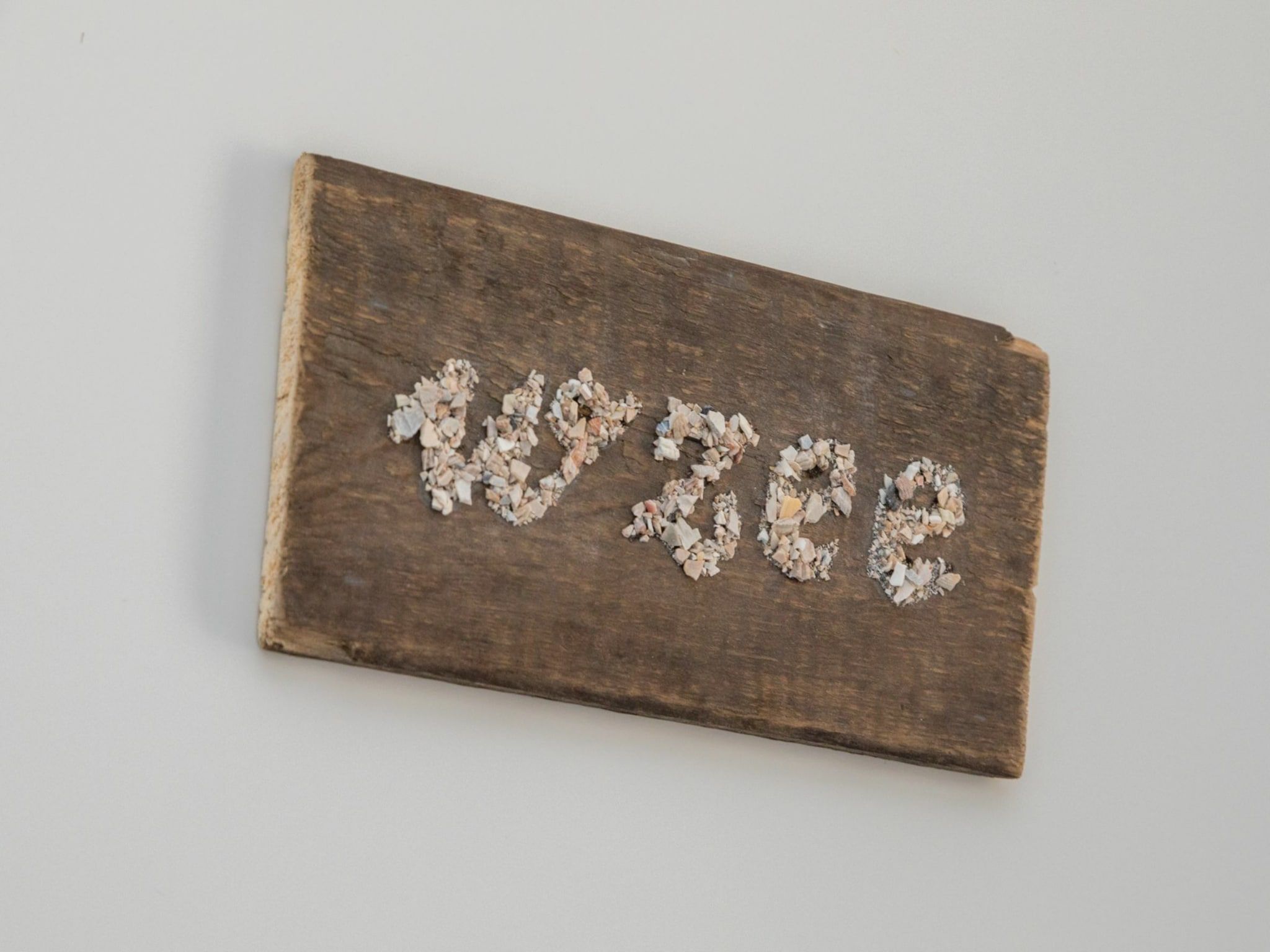 Sfeerbeeld van Vroondijk 2- duinappel en zonnebes in Vrouwenpolder