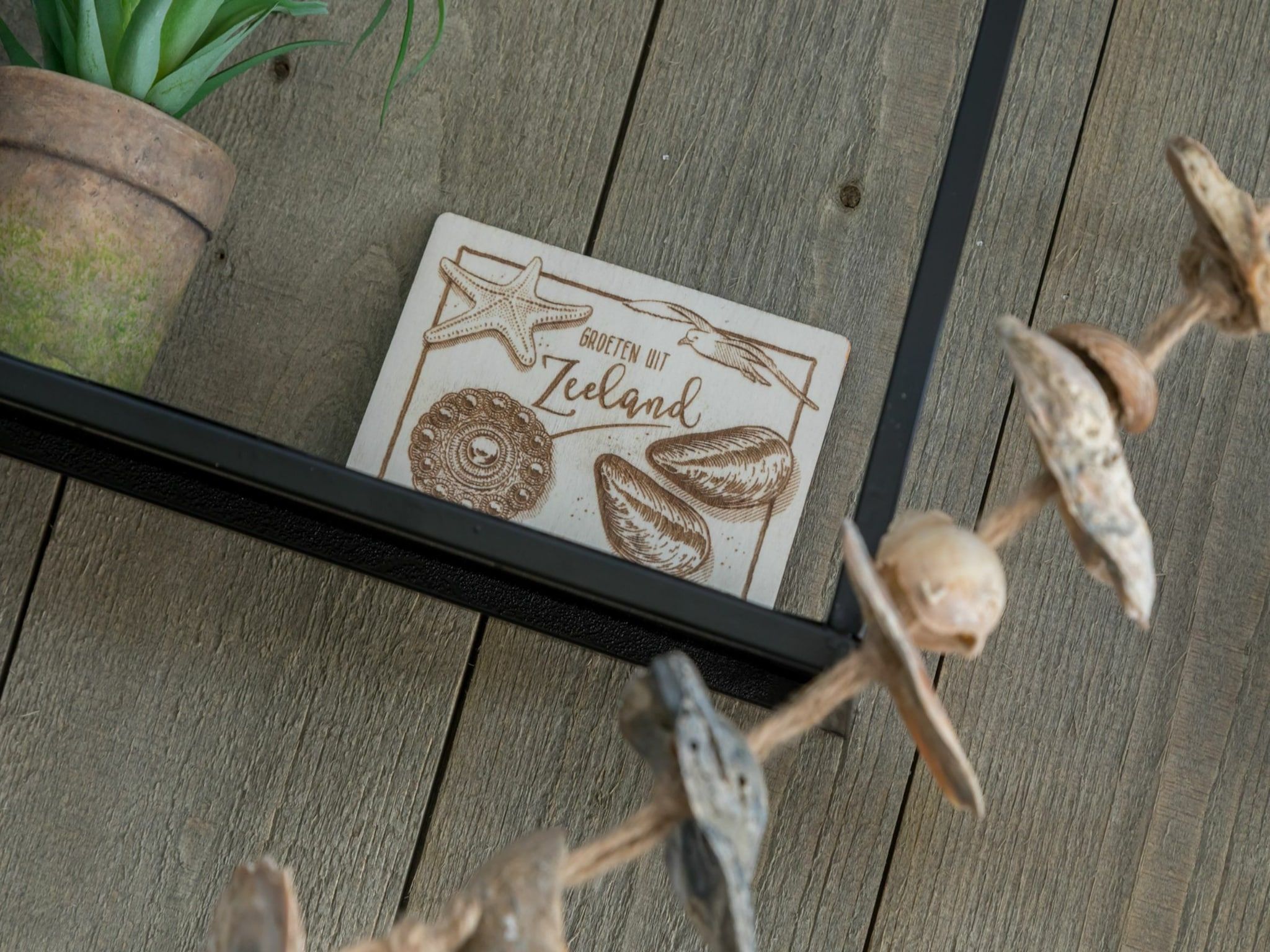 Sfeerbeeld van Vroondijk 2- duinappel en zonnebes in Vrouwenpolder