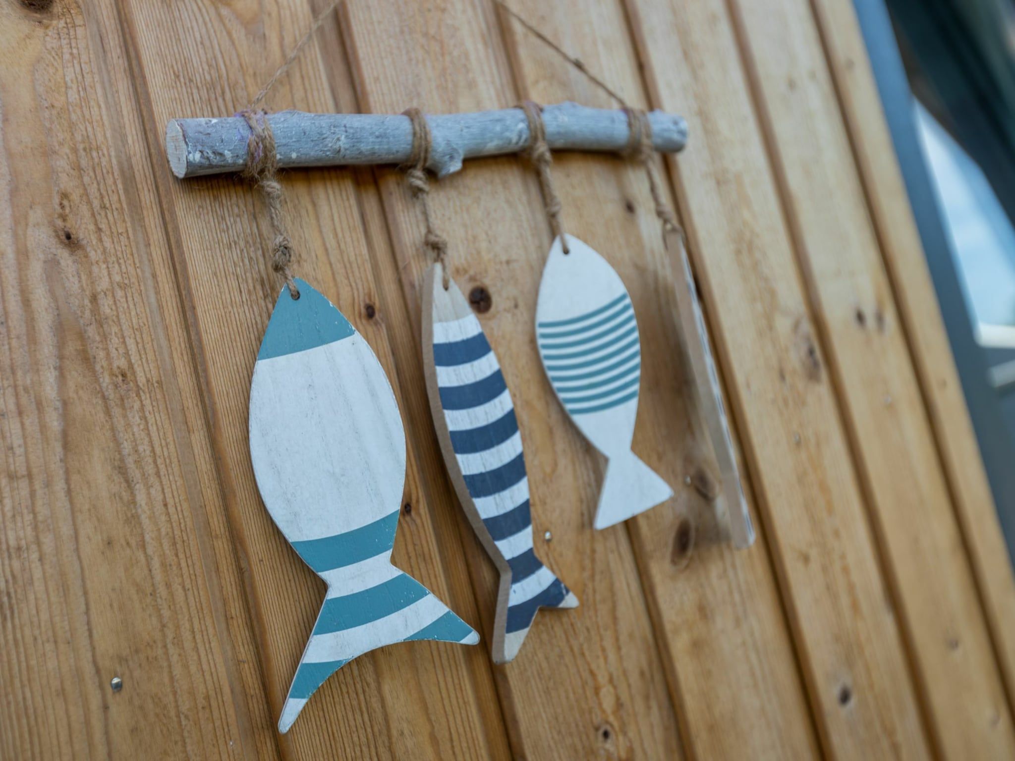 Sfeerbeeld van Vroondijk 2- duinappel en zonnebes in Vrouwenpolder