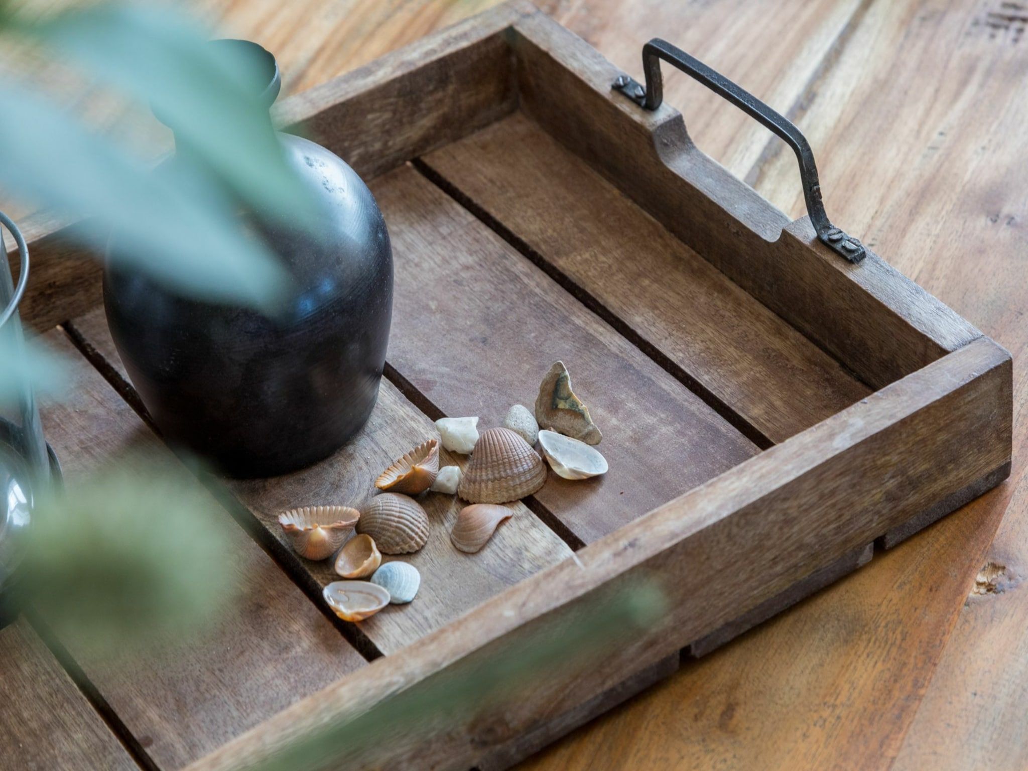 Sfeerbeeld van Vroondijk 2- duinappel en zonnebes in Vrouwenpolder