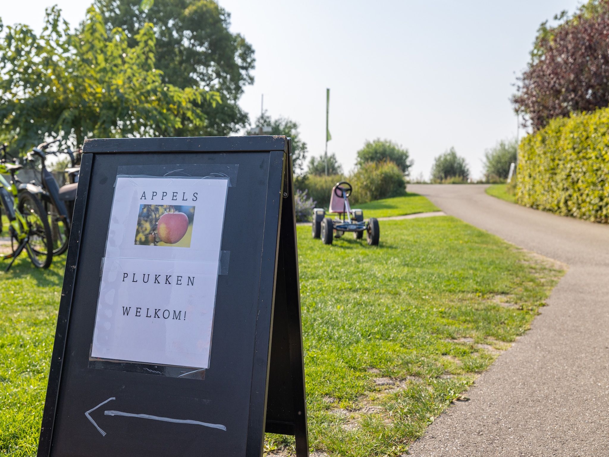 Vroondijk 2- duinappel en zonnebes in Vrouwenpolder - Foto 38 van 40