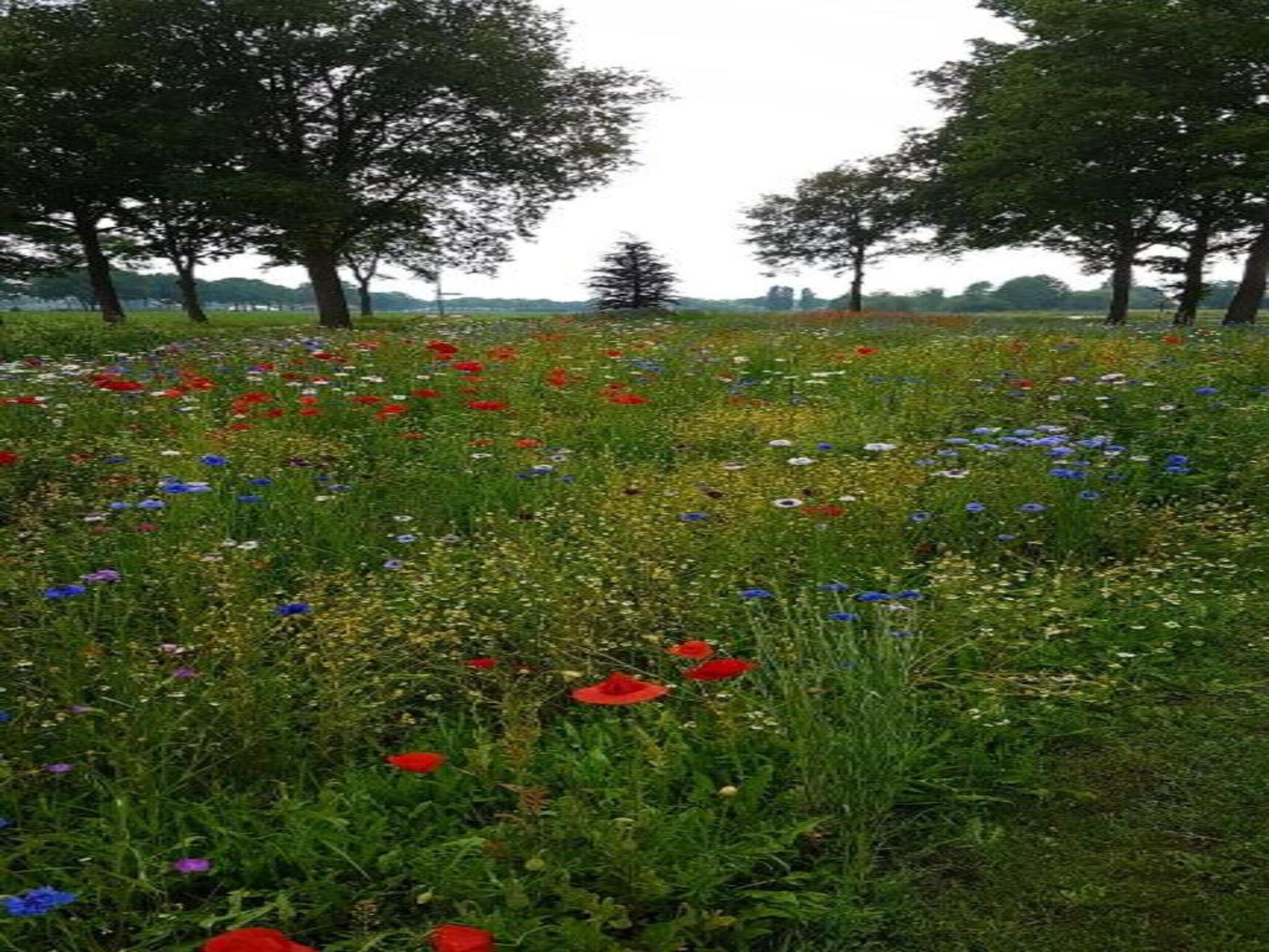 Vakantiepark Sandberghe 9 in Uden - Foto 29 van 40
