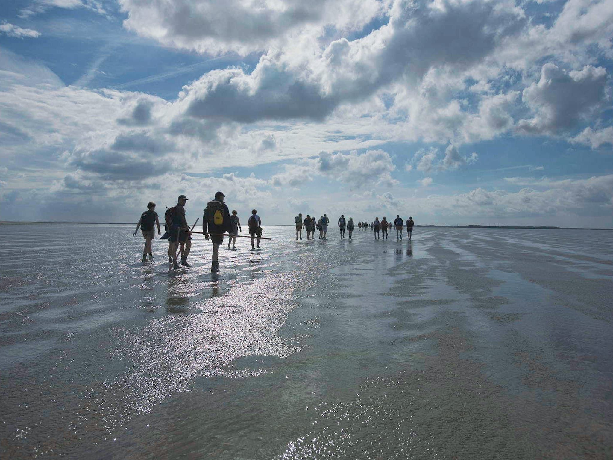 De omgeving van Vakantiepark Emslandermeer 3 in Vlagtwedde