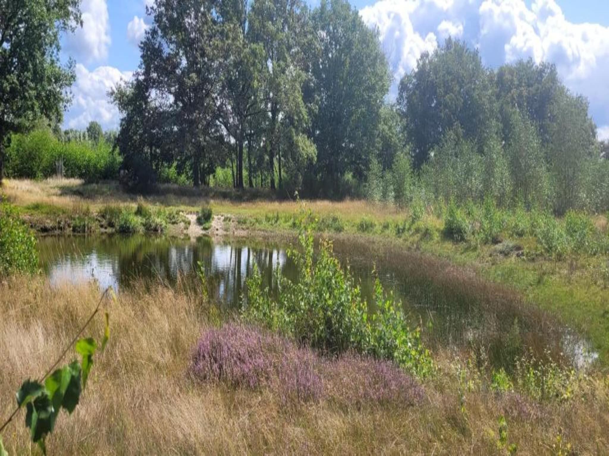 Vakantiepark Sandberghe 11 in Uden - Foto 28 van 40