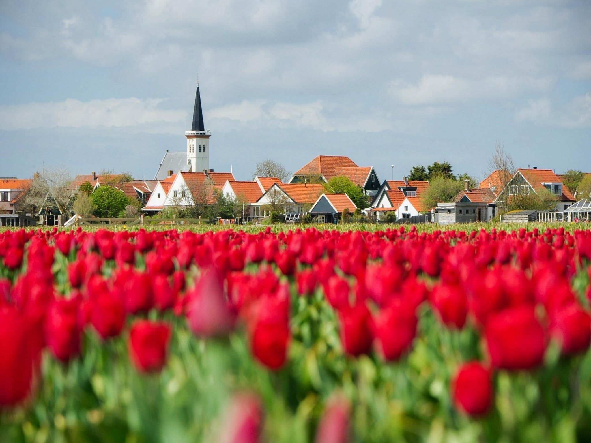 Het Wambuis in Den Hoorn- Texel - Foto 38 van 38