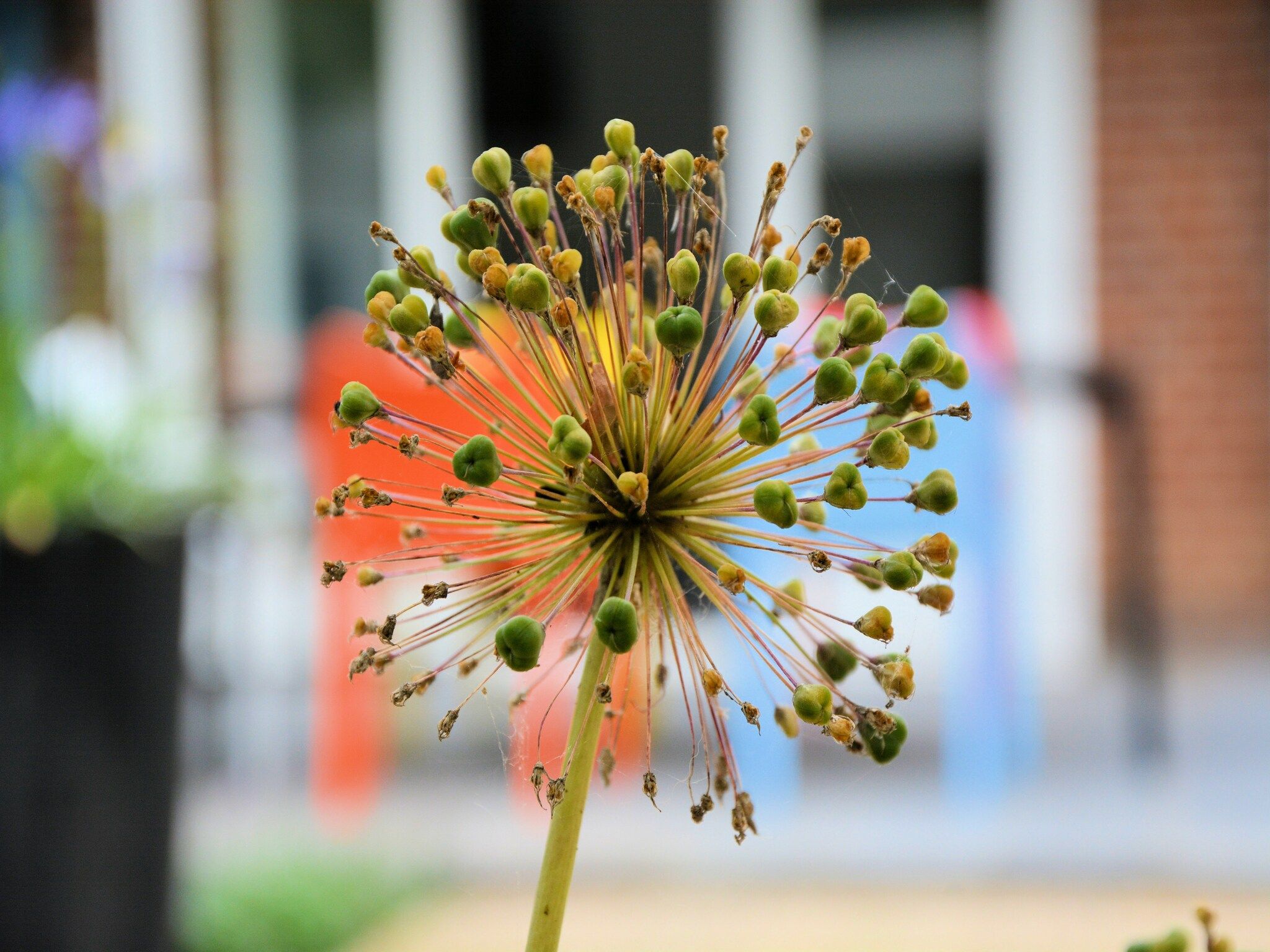 Sfeerbeeld van Meer & Zee in Noordwijkerhout