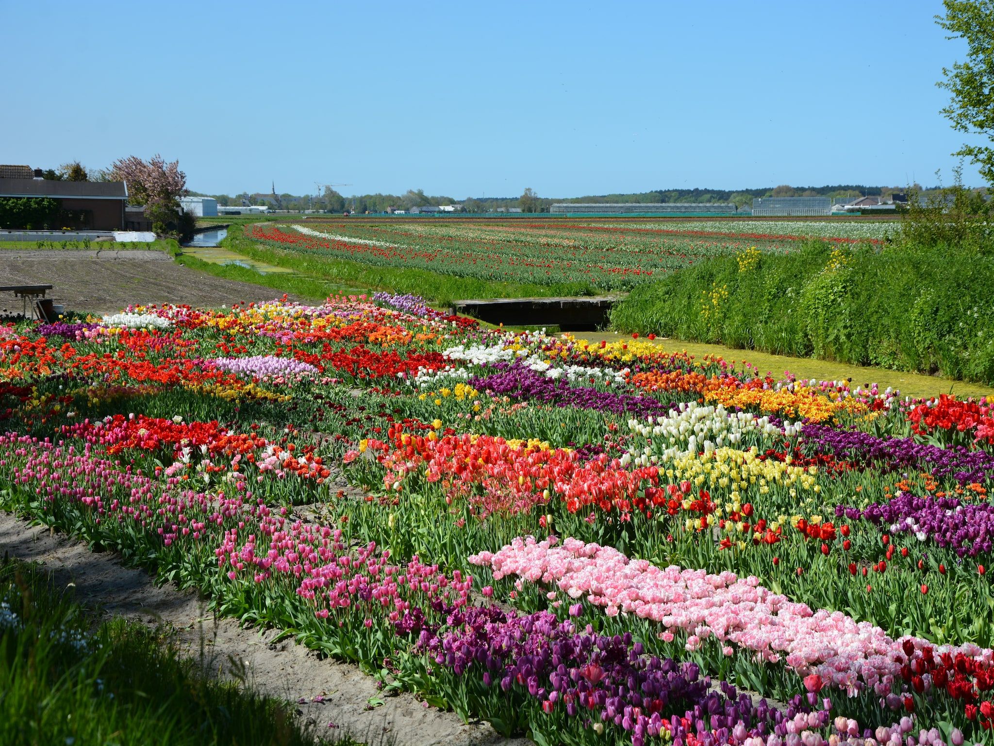 Meer & Zee in Noordwijkerhout - Foto 23 van 40