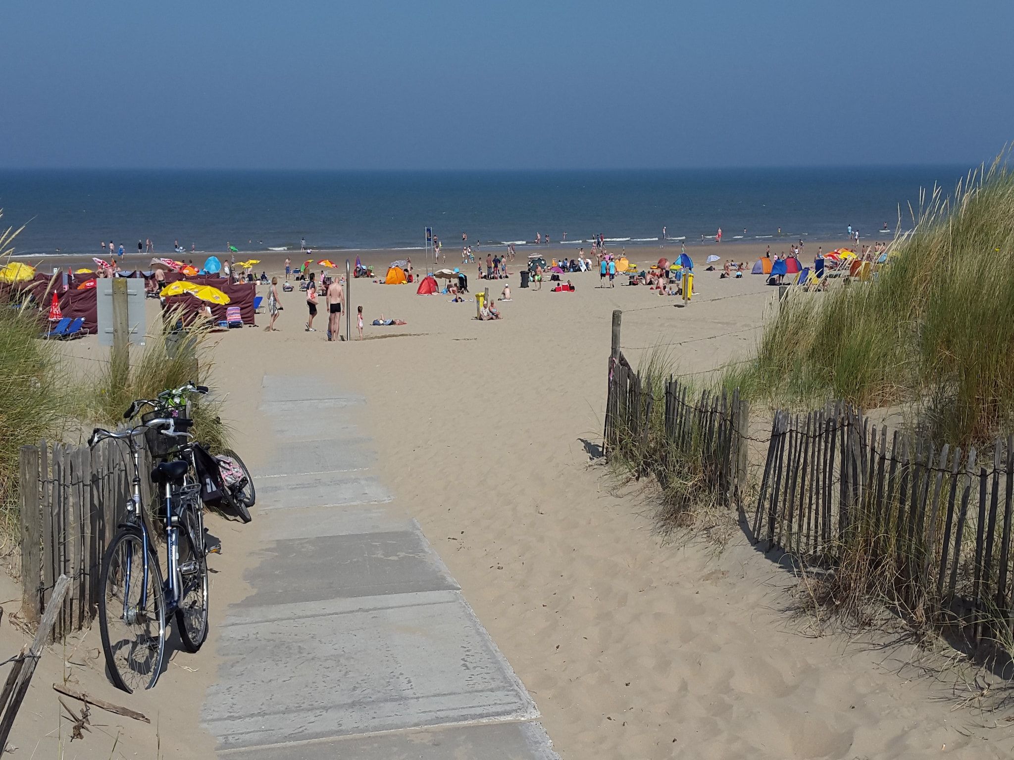 De omgeving van Meer & Zee in Noordwijkerhout