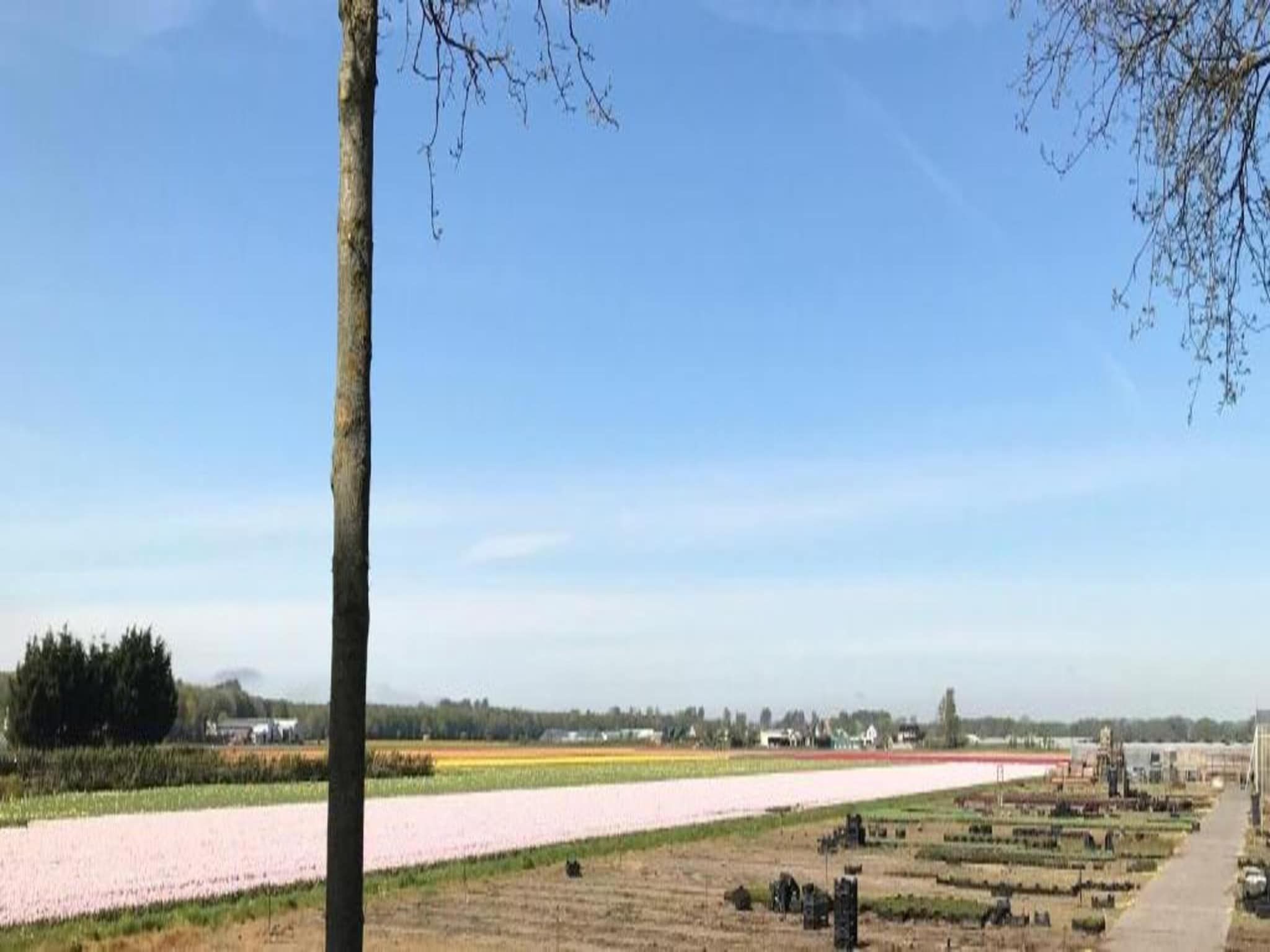 Meer & Zee in Noordwijkerhout - Foto 32 van 40