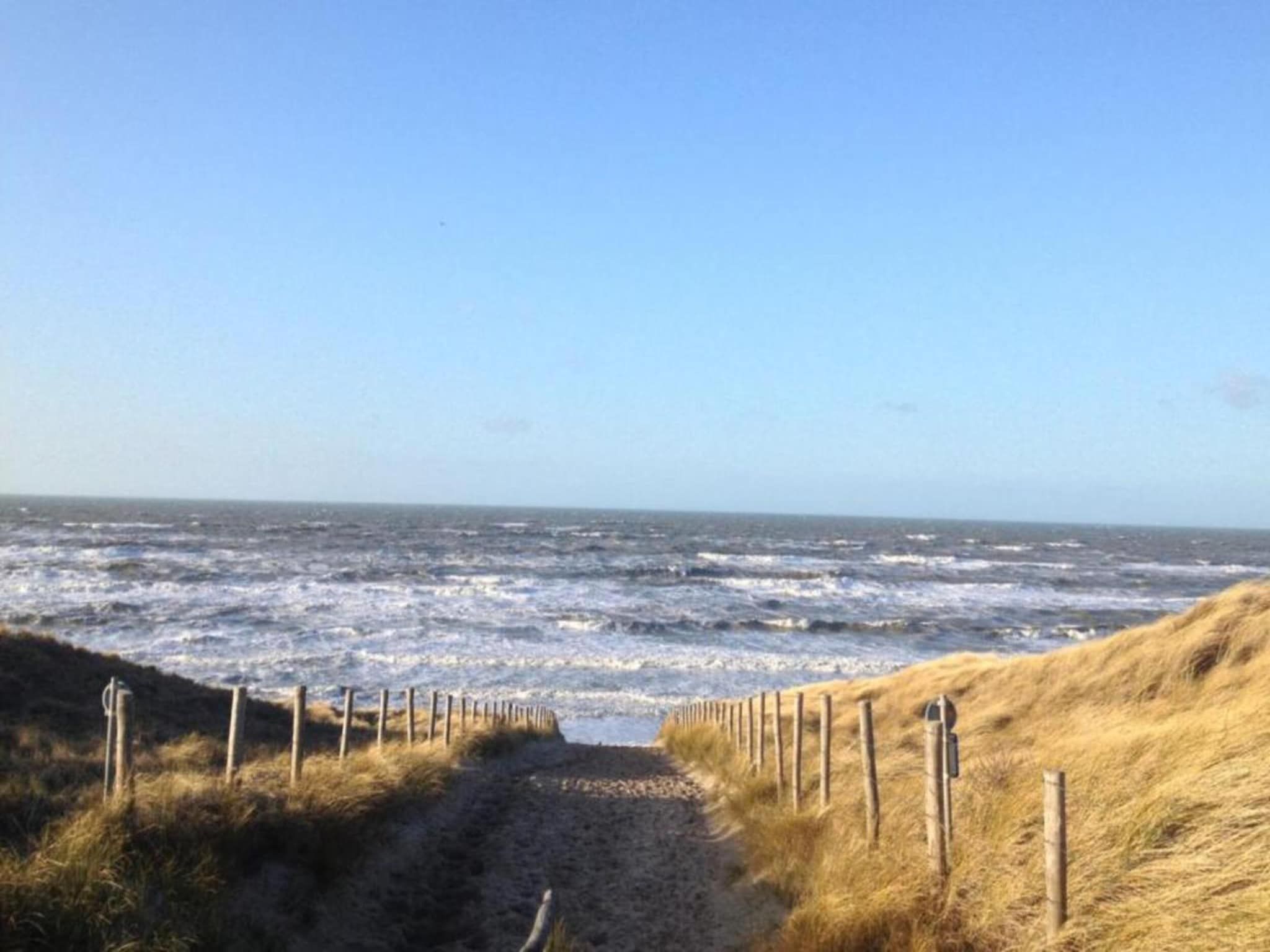 Meer & Zee in Noordwijkerhout - Foto 28 van 40