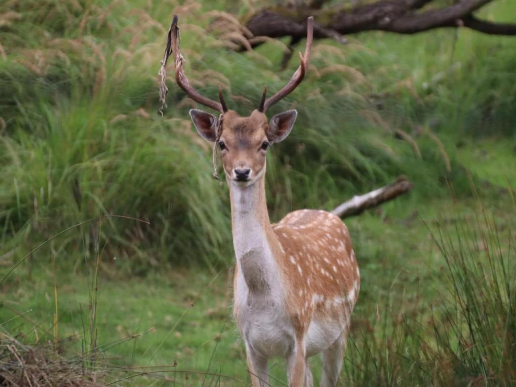 Meer & Zee in Noordwijkerhout - Foto 35 van 40
