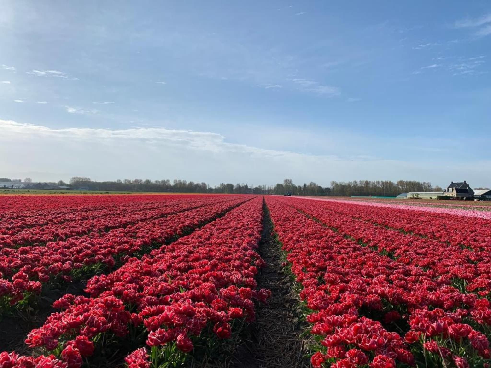 Meer & Zee in Noordwijkerhout - Foto 37 van 40