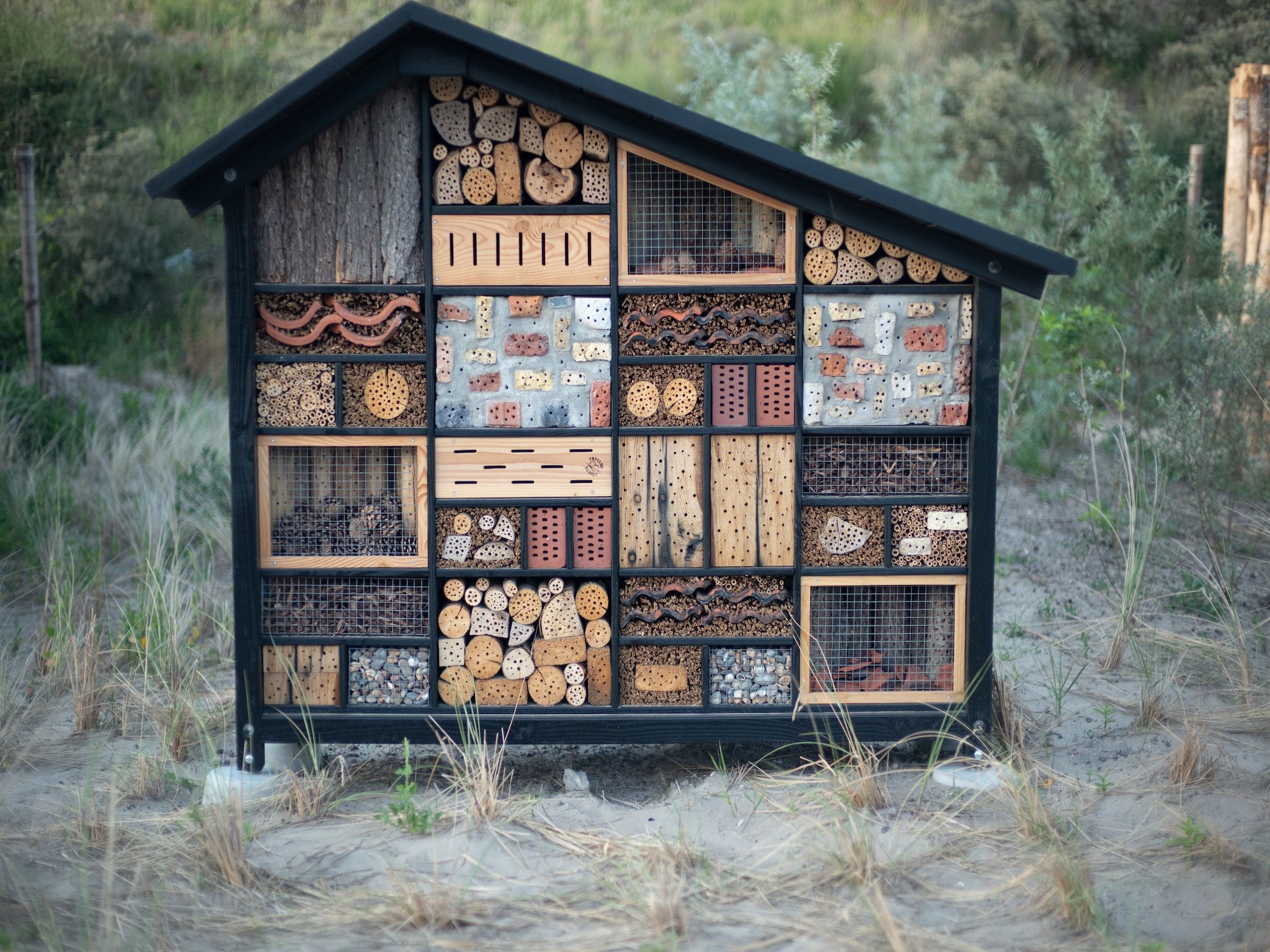 Parkfaciliteiten bij Sea Lodges Zandvoort 6 in Zandvoort