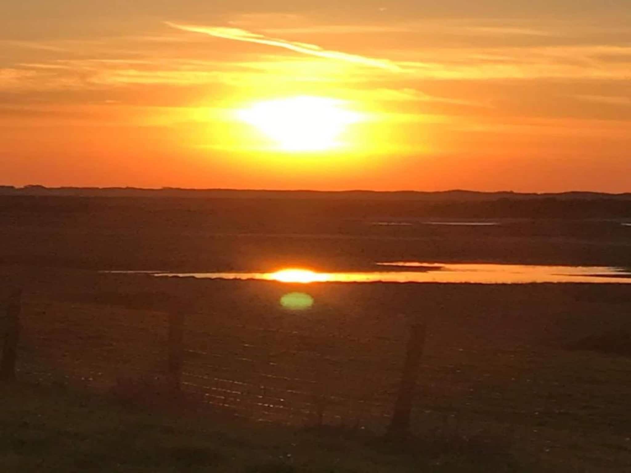 Beach Resort Nieuwvliet-Bad 8 in Nieuwvliet-Bad - Foto 35 van 40