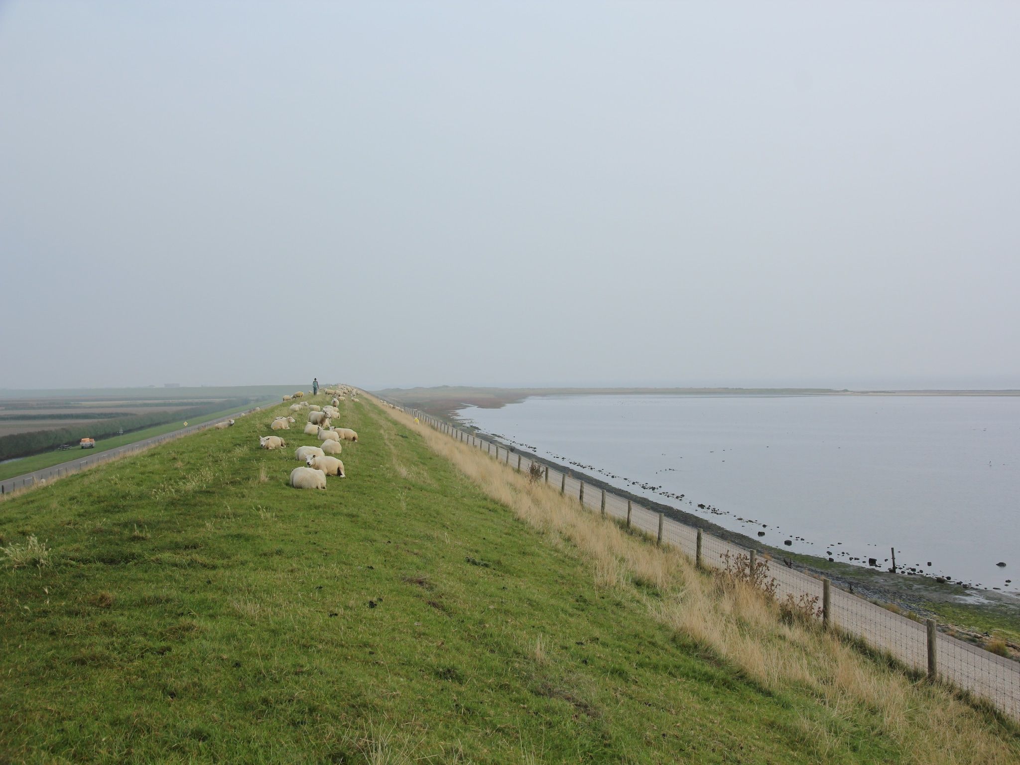De omgeving van De Koog nr 2 - 6 pers woning de luxe in De Koog Texel North Holland