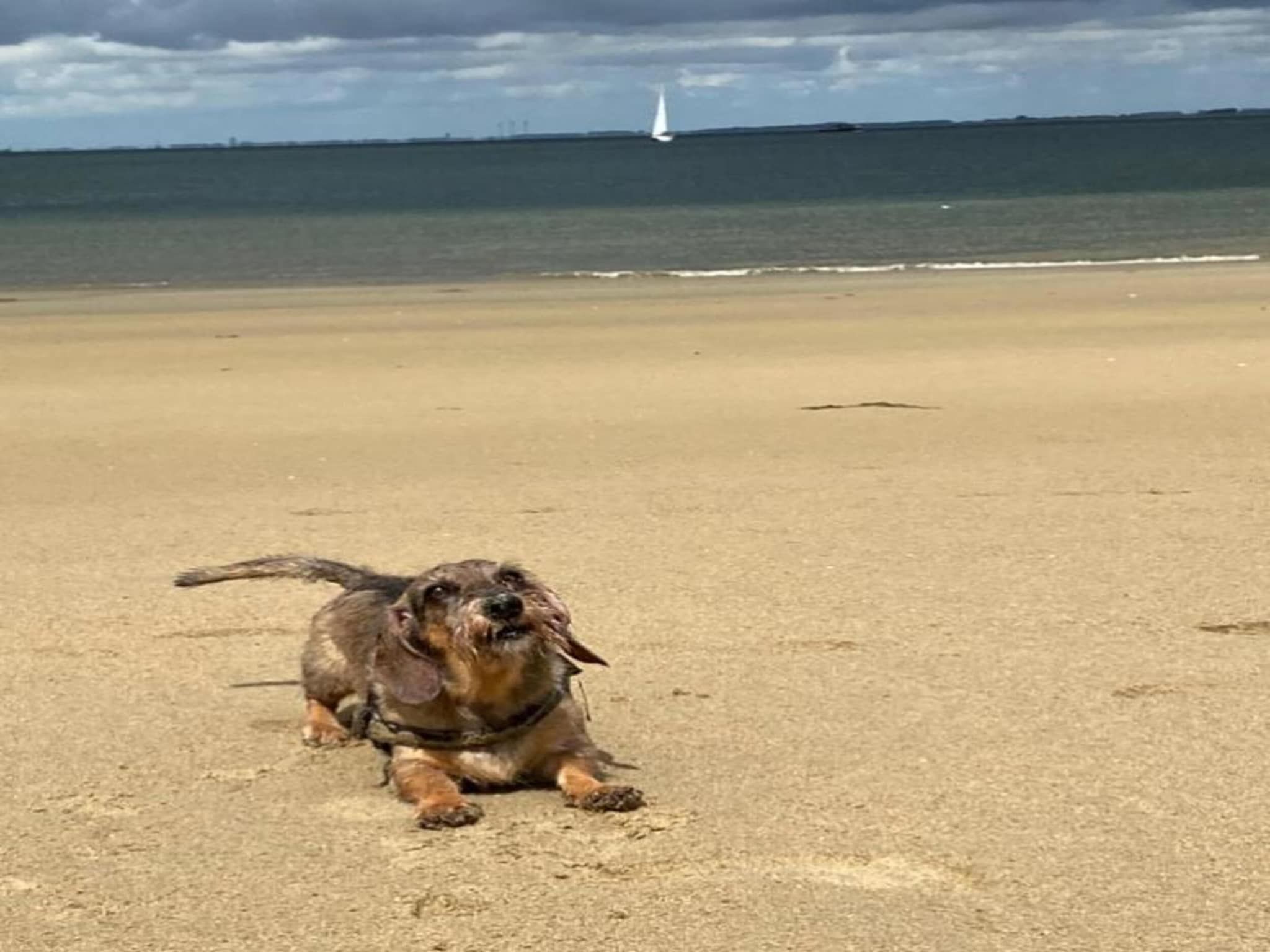 Resort Waterrijk Oesterdam 1 in Tholen - Foto 35 van 40