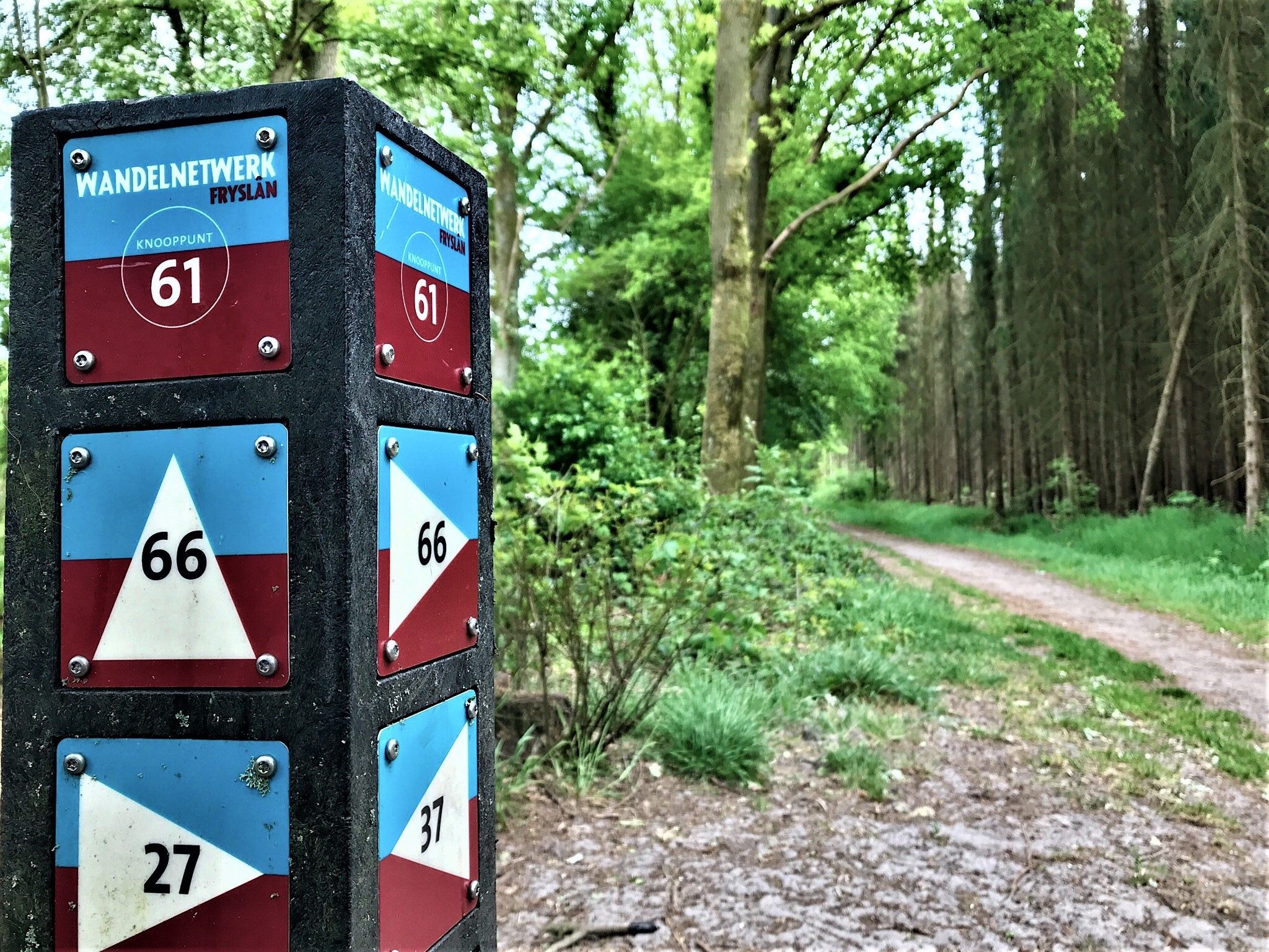 De omgeving van Vakantie appartement De Stelling in Noordwolde