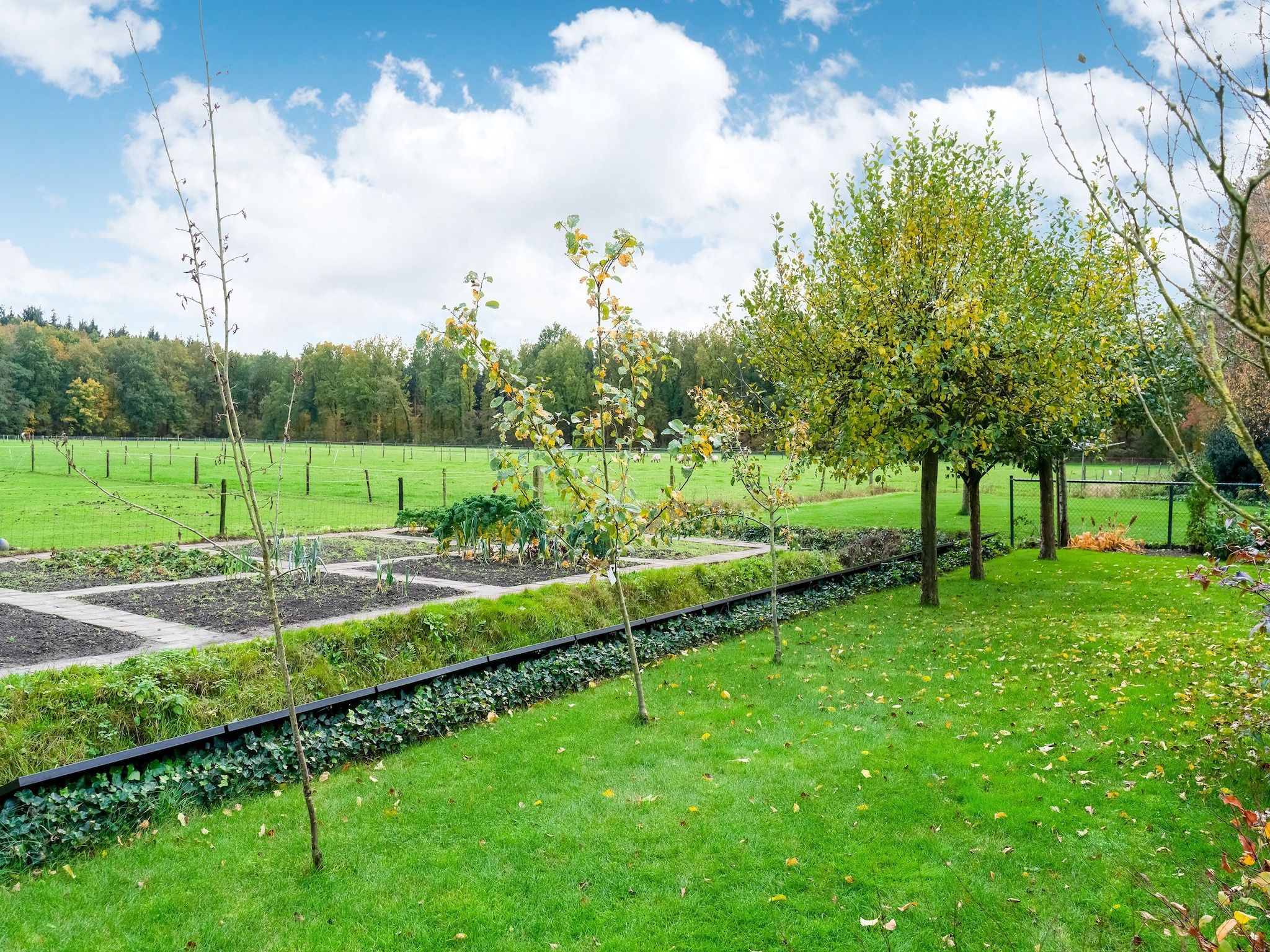 Vakantie appartement De Stelling in Noordwolde - Foto 20 van 30