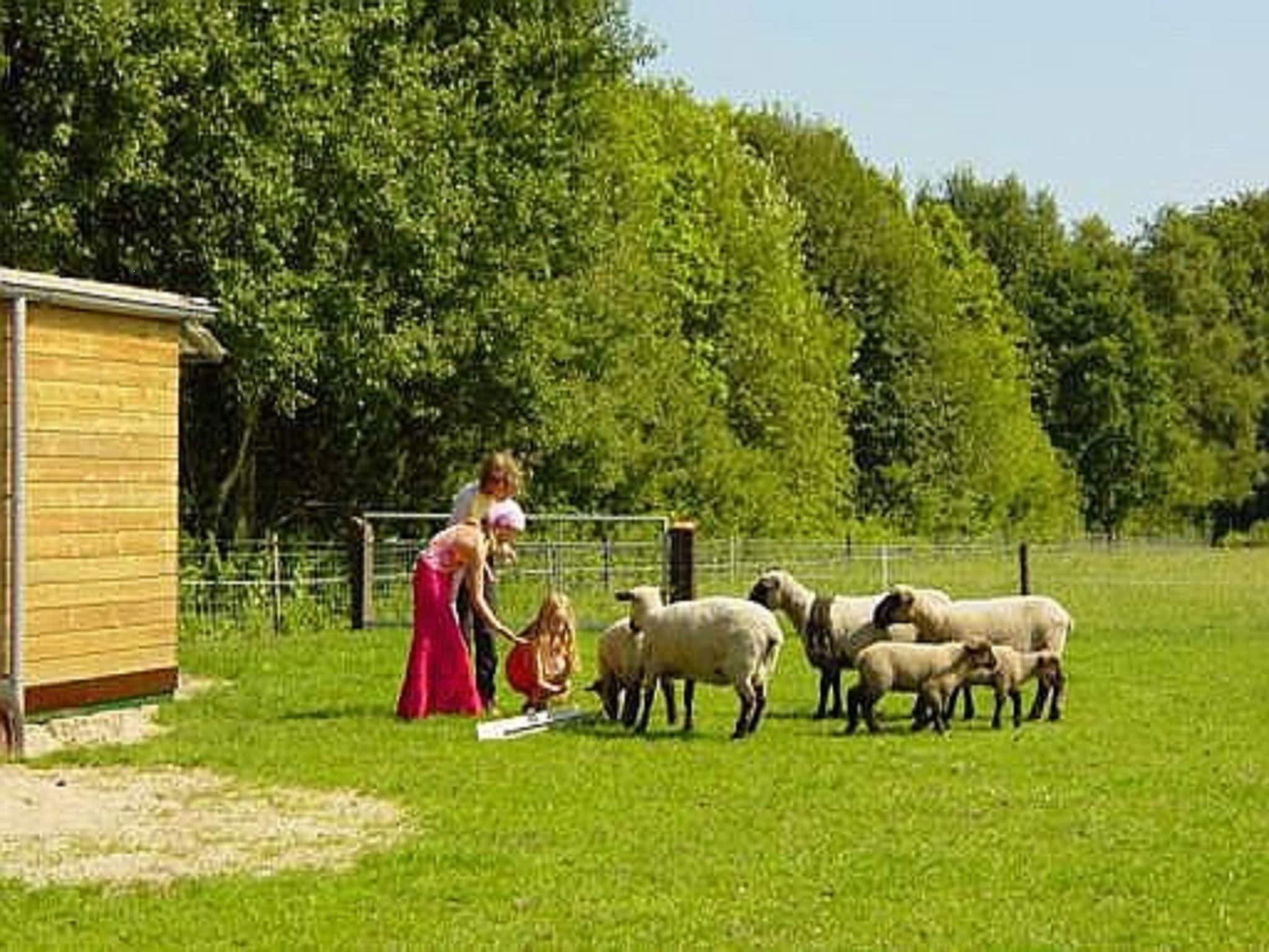 De omgeving van Vakantie appartement De Stelling in Noordwolde