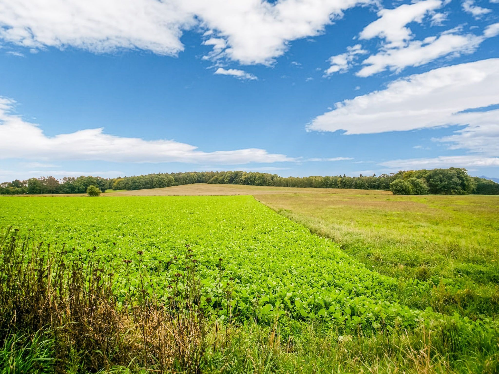 Hettenheuvel Montferland in Kilder - Foto 6 van 40