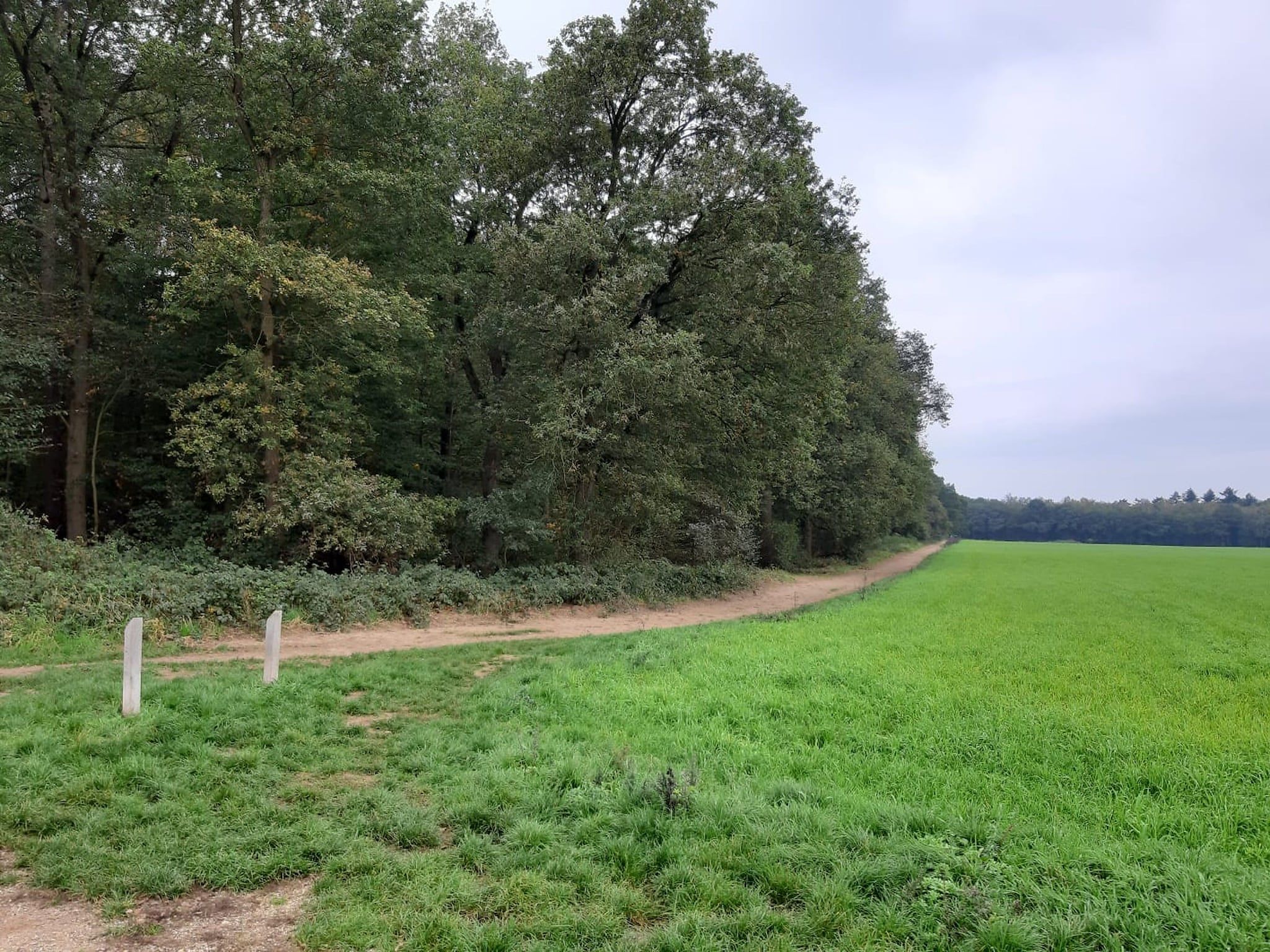 De omgeving van Hettenheuvel Montferland in Kilder