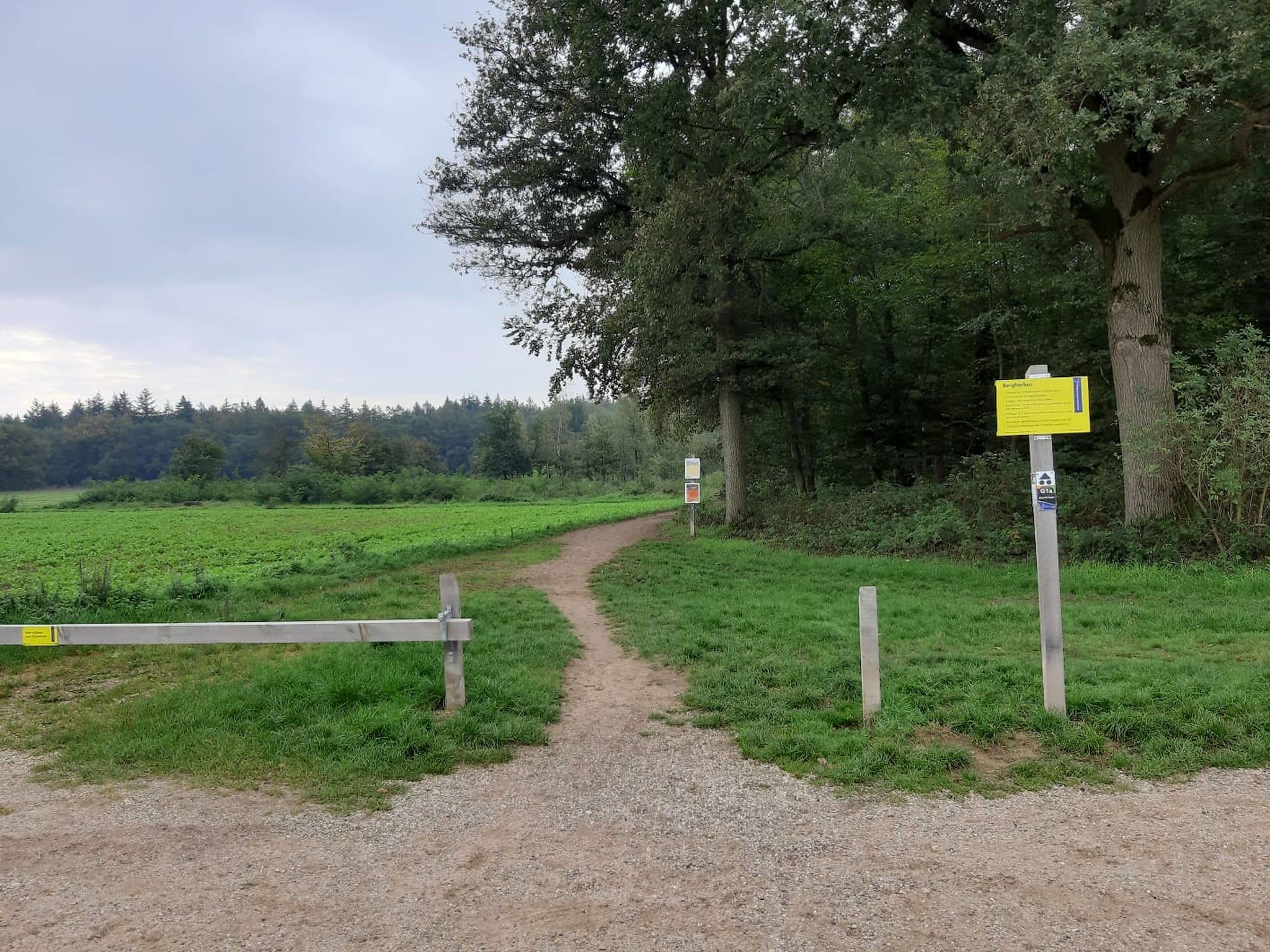 De omgeving van Hettenheuvel Montferland in Kilder