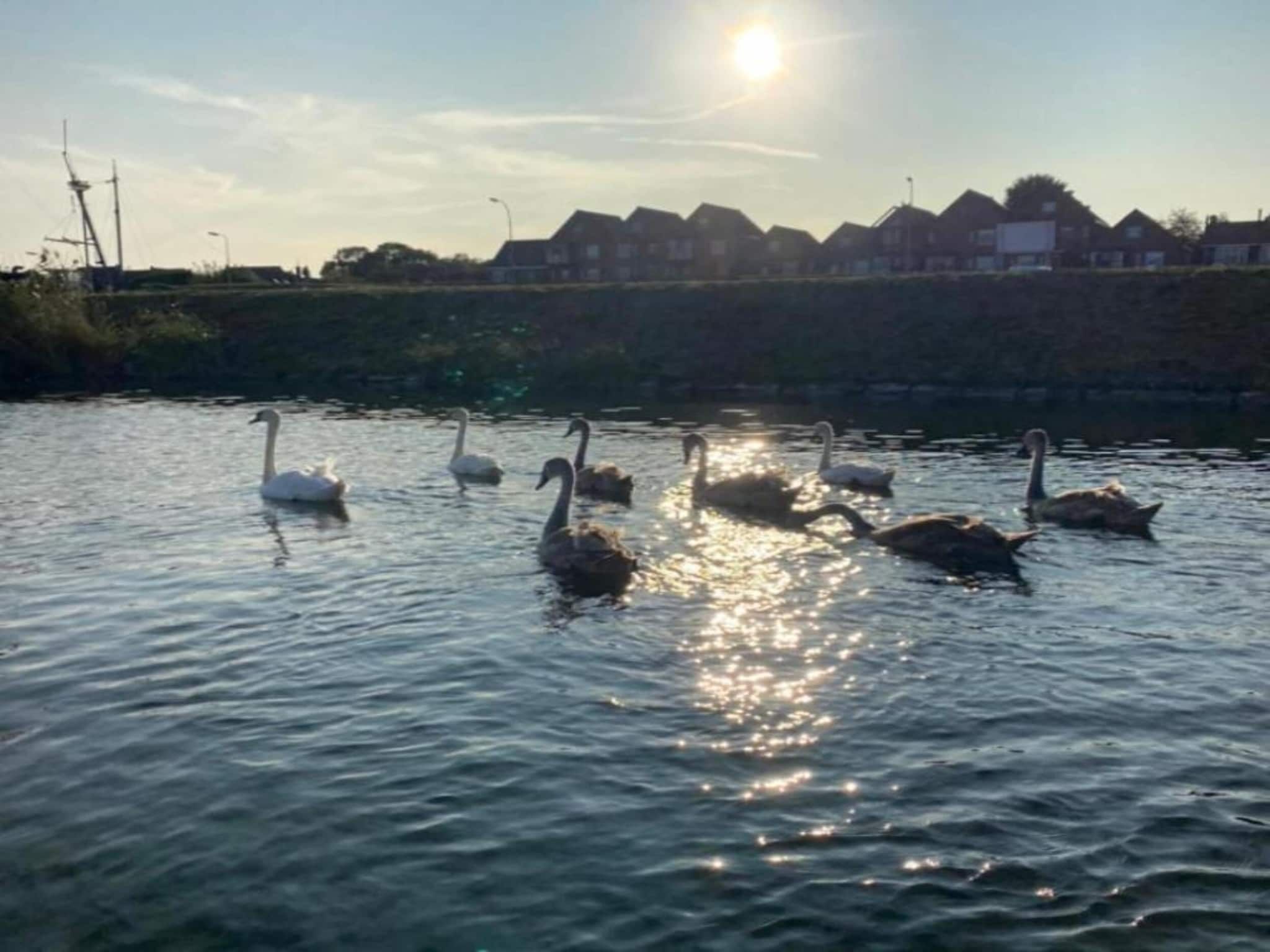 Resort Waterrijk Oesterdam 5 in Tholen - Foto 31 van 35