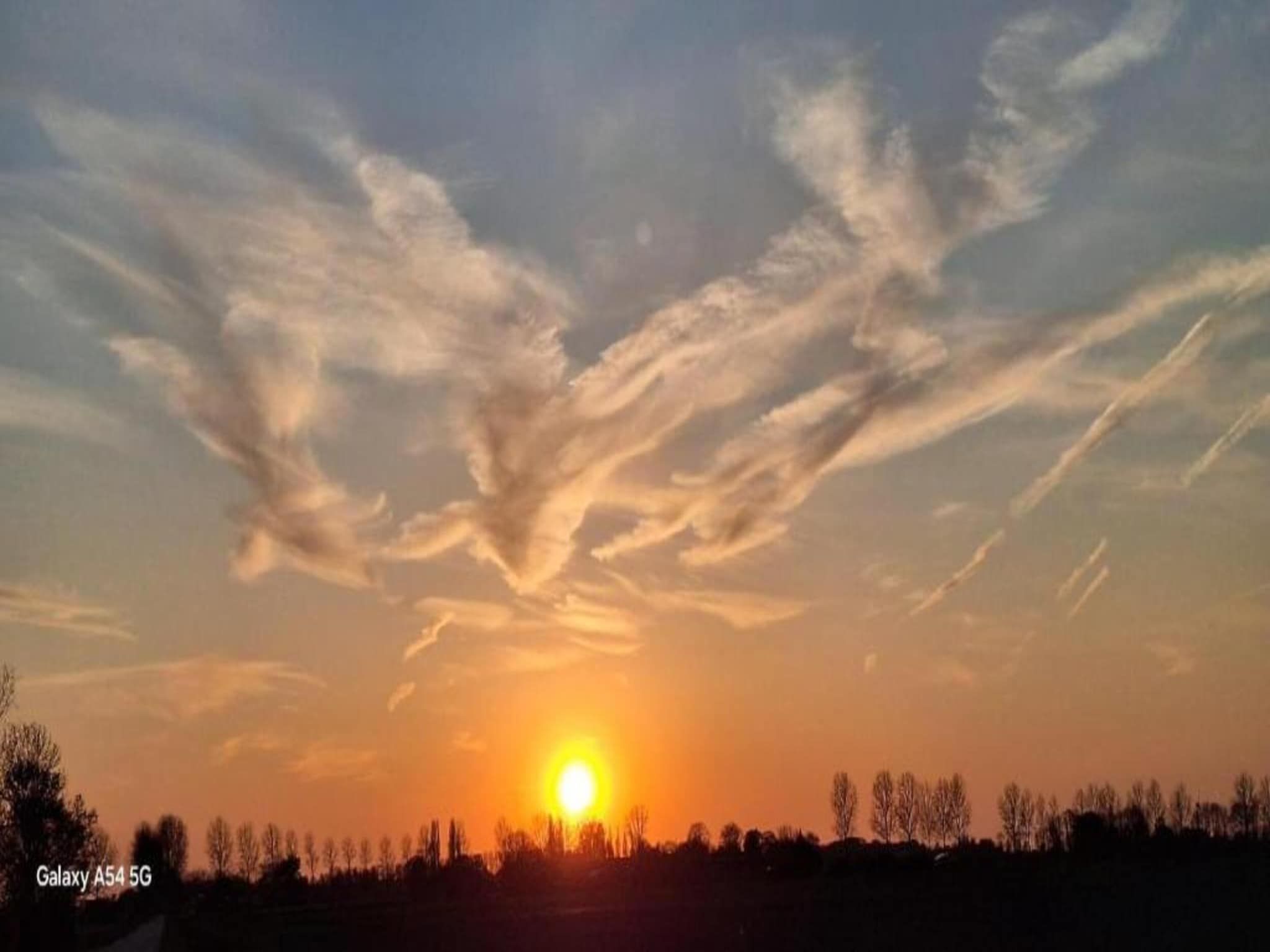 Resort Waterrijk Oesterdam 5 in Tholen - Foto 23 van 35