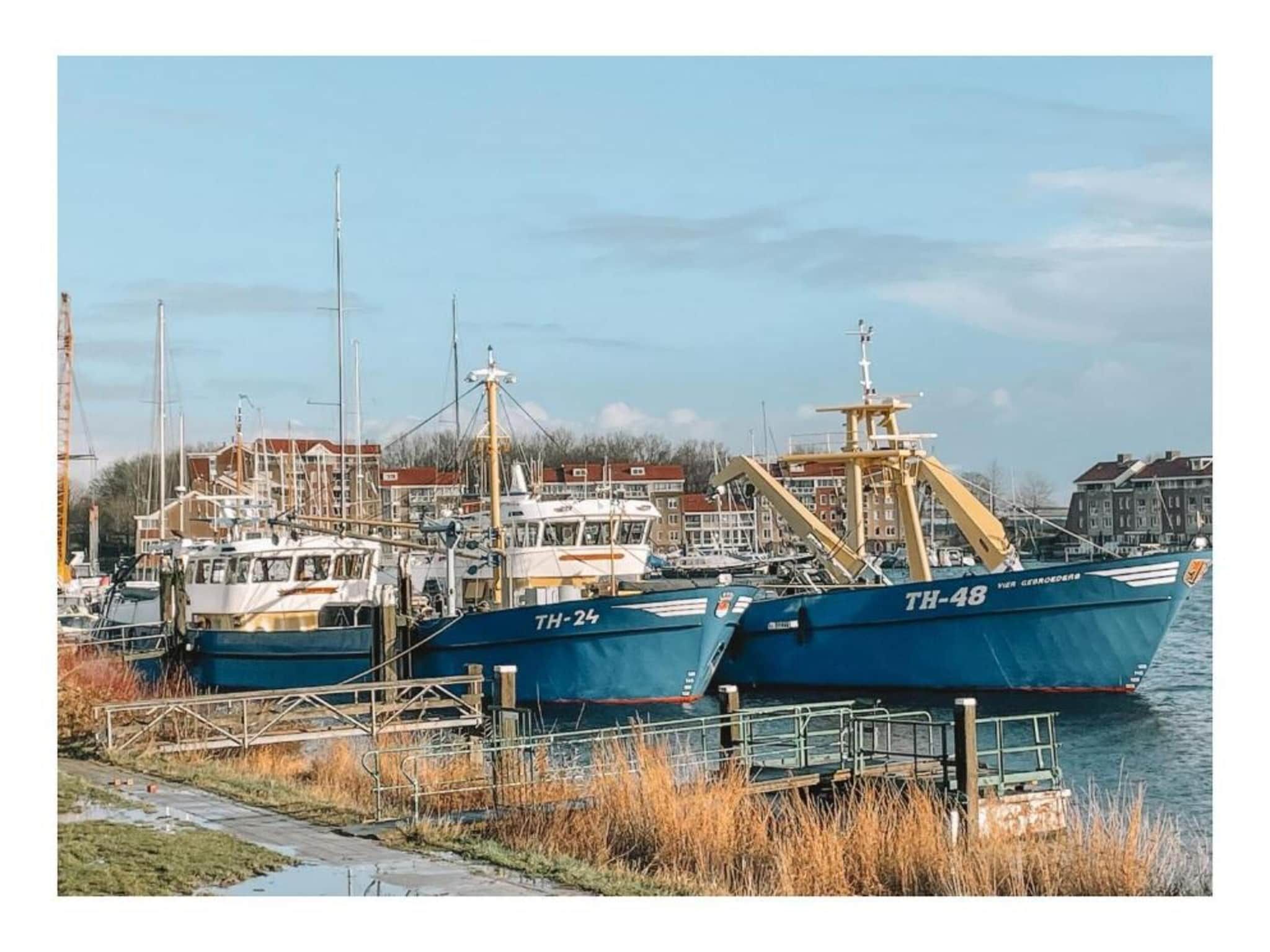 Resort Waterrijk Oesterdam 5 in Tholen - Foto 22 van 35