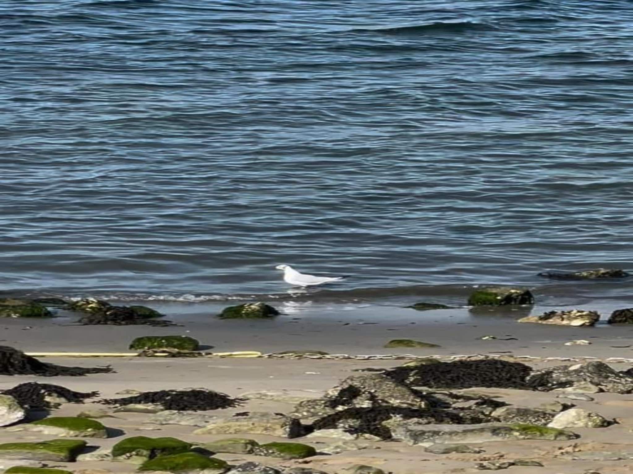 Resort Waterrijk Oesterdam 6 in Tholen - Foto 23 van 40