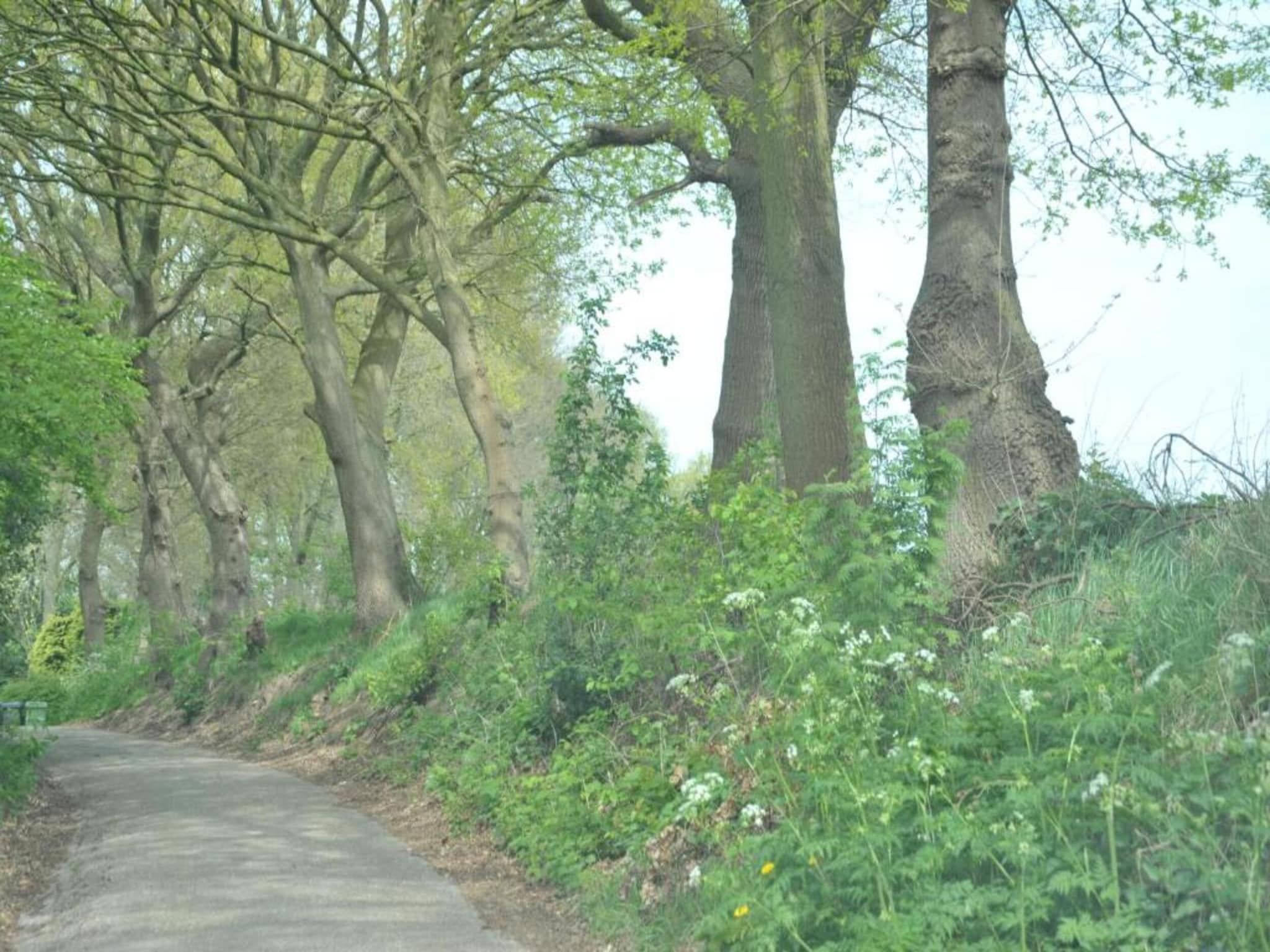 Resort Waterrijk Oesterdam 8 in Tholen - Foto 29 van 40