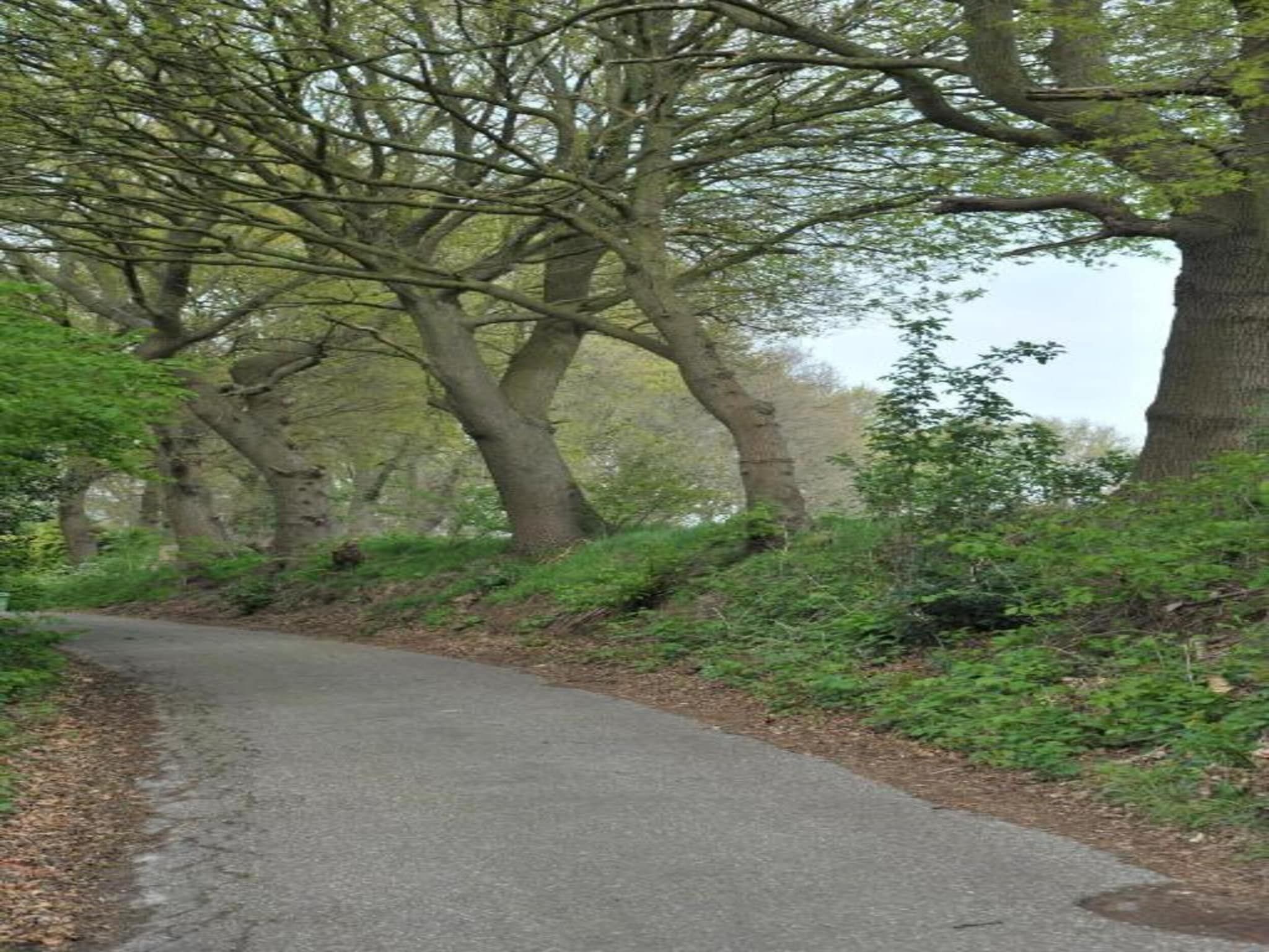 Resort Waterrijk Oesterdam 8 in Tholen - Foto 32 van 40