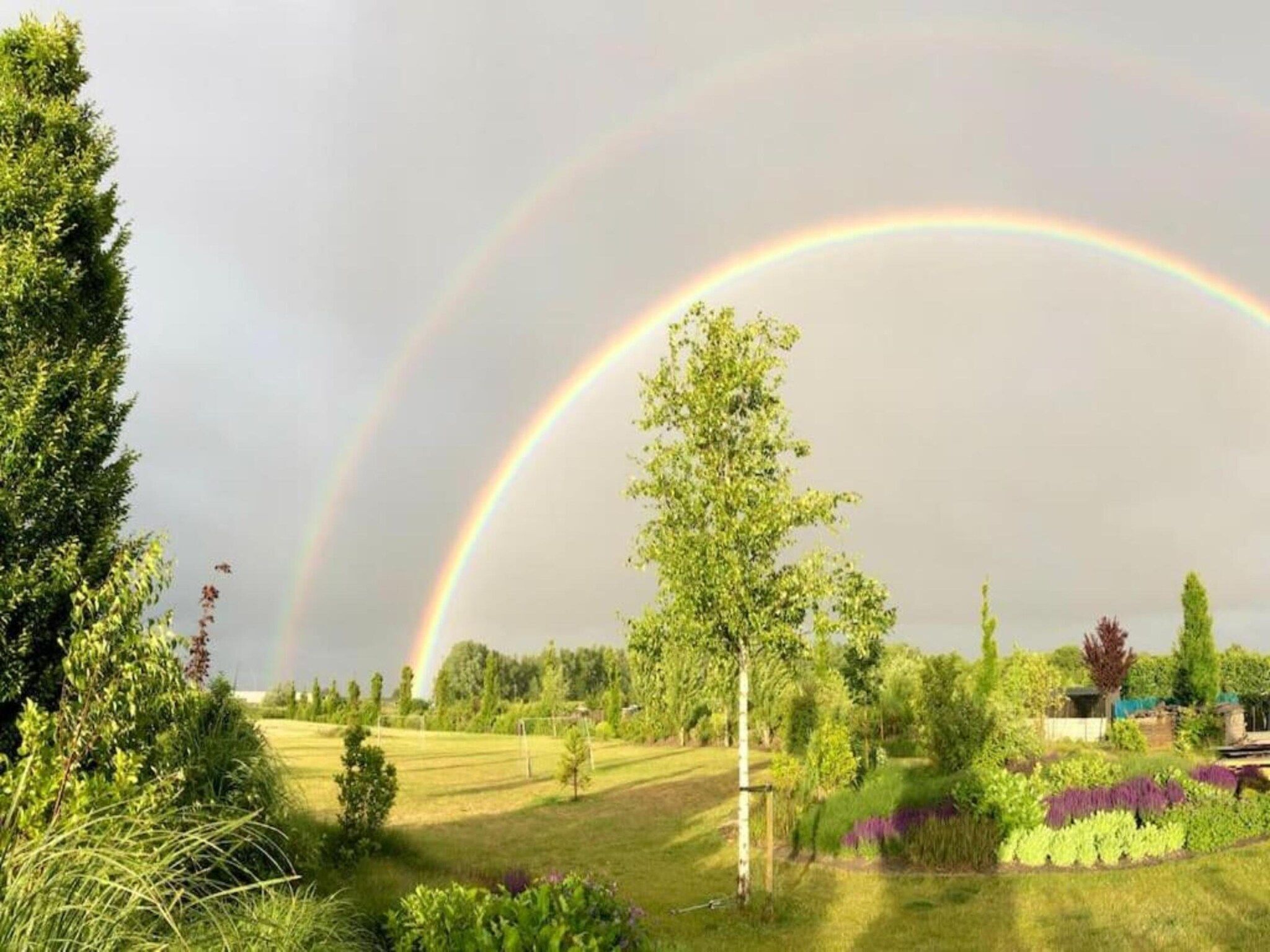 Resort Waterrijk Oesterdam 13 in Tholen - Foto 25 van 40