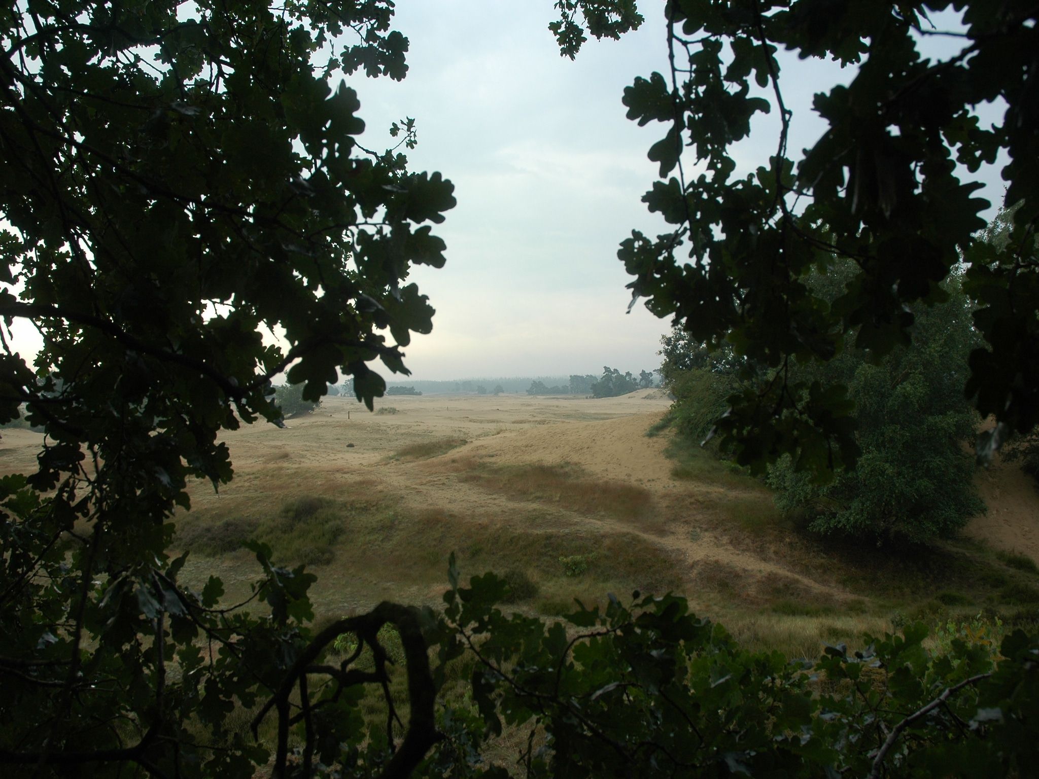 Landgoed De IJsvogel 9 in Voorthuizen - Foto 37 van 40