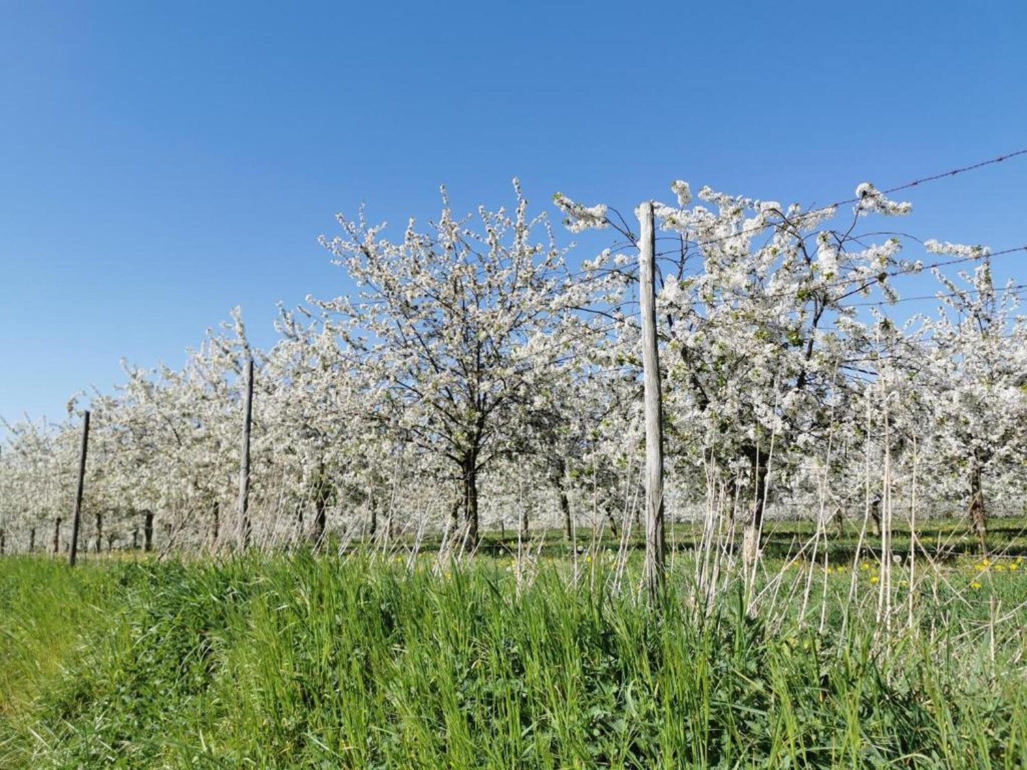 Resort Maastricht 14 in Maastricht - Foto 31 van 40