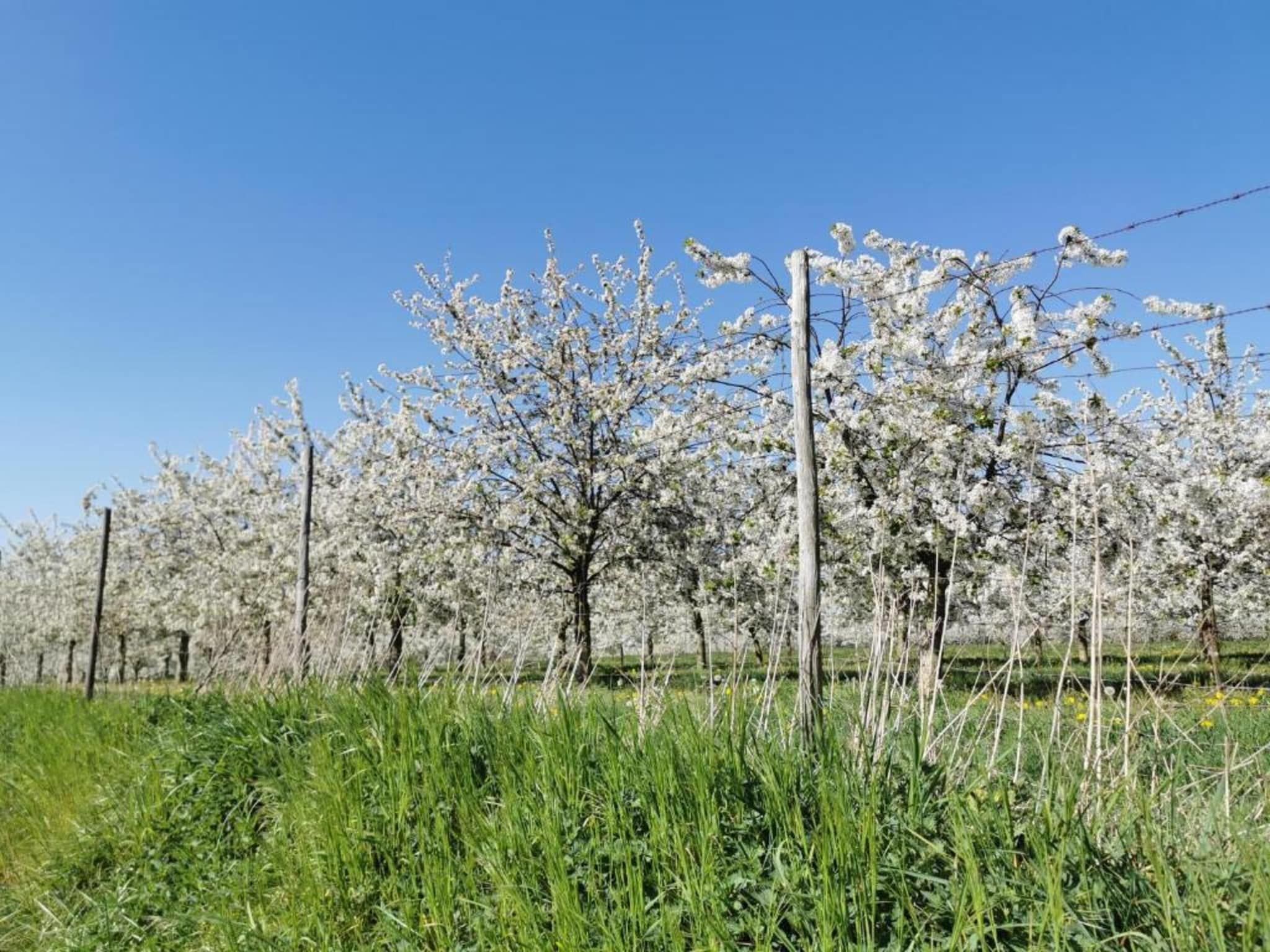 Resort Maastricht 13 in Maastricht - Foto 36 van 40