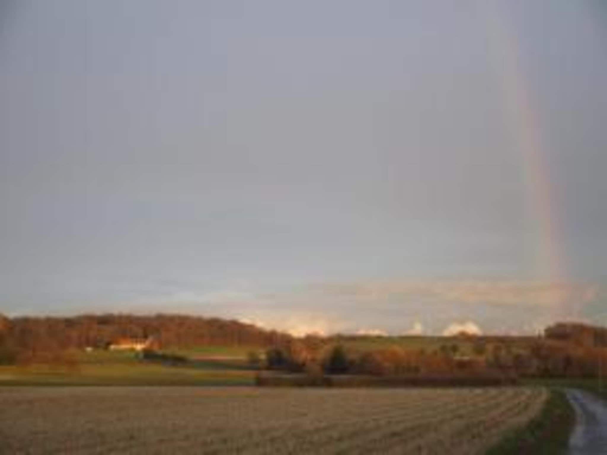 Resort Maastricht 21 in Maastricht - Foto 32 van 40