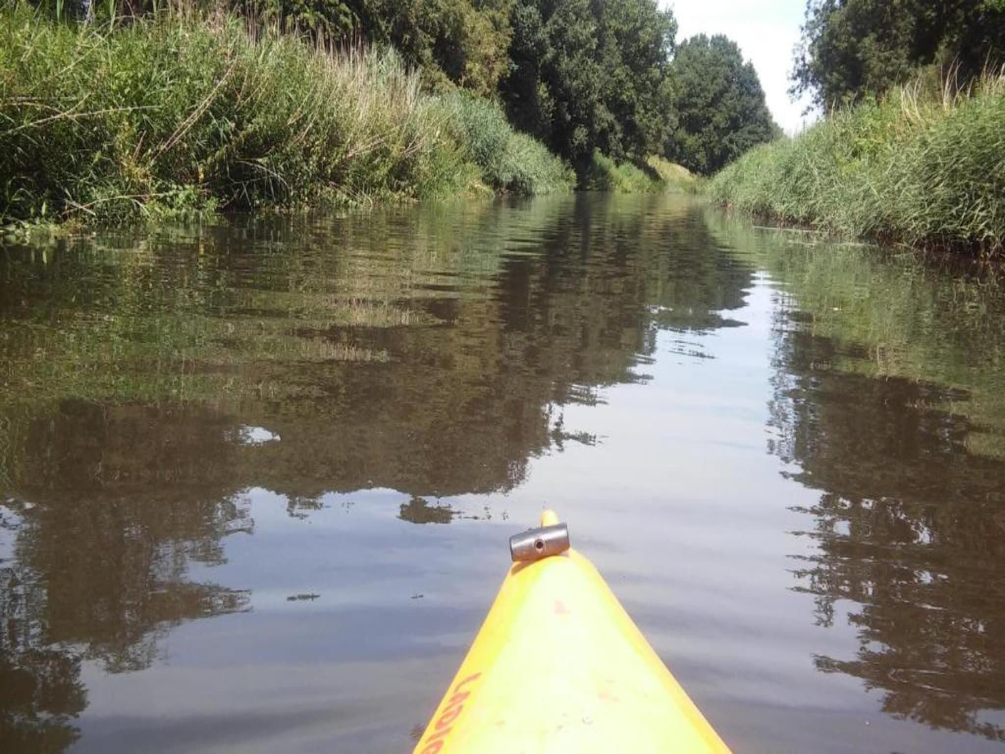 Landgoed De IJsvogel 10 in Voorthuizen - Foto 33 van 35