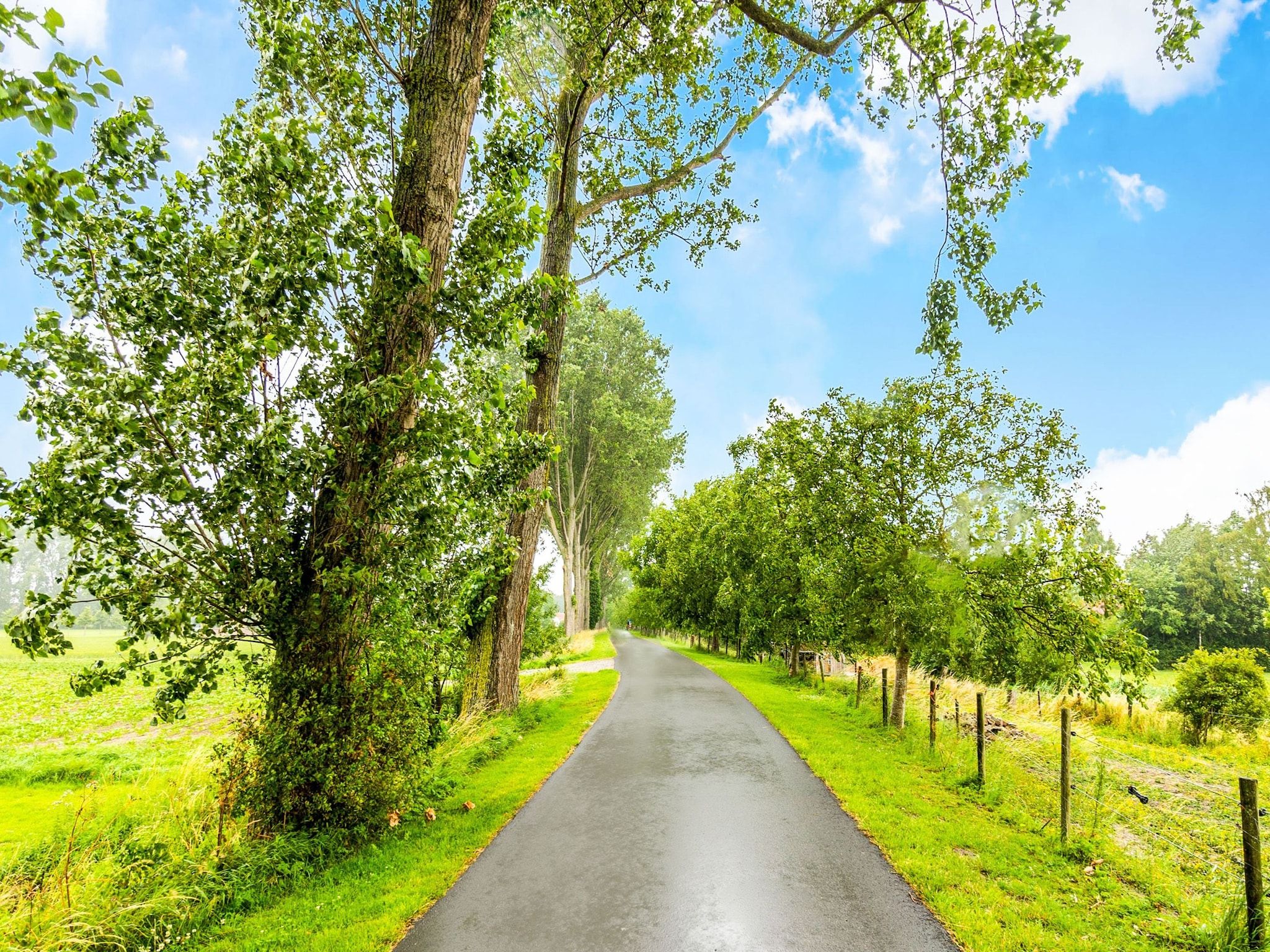 Krokus 18 in Breskens - Foto 27 van 39