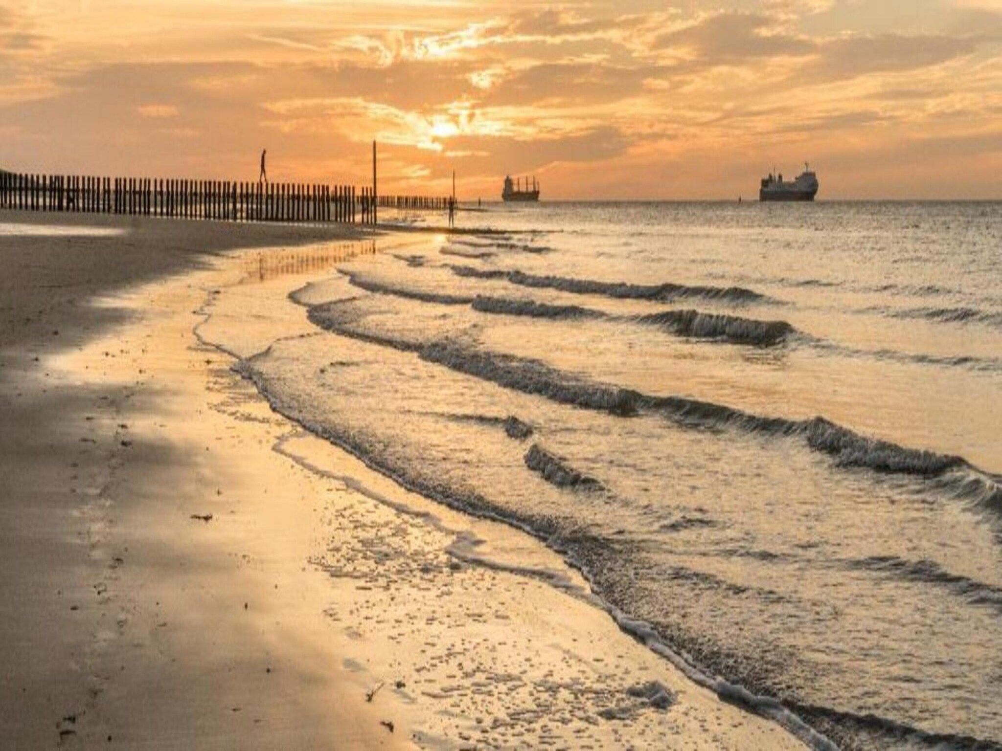 Krokus 18 in Breskens - Foto 32 van 39