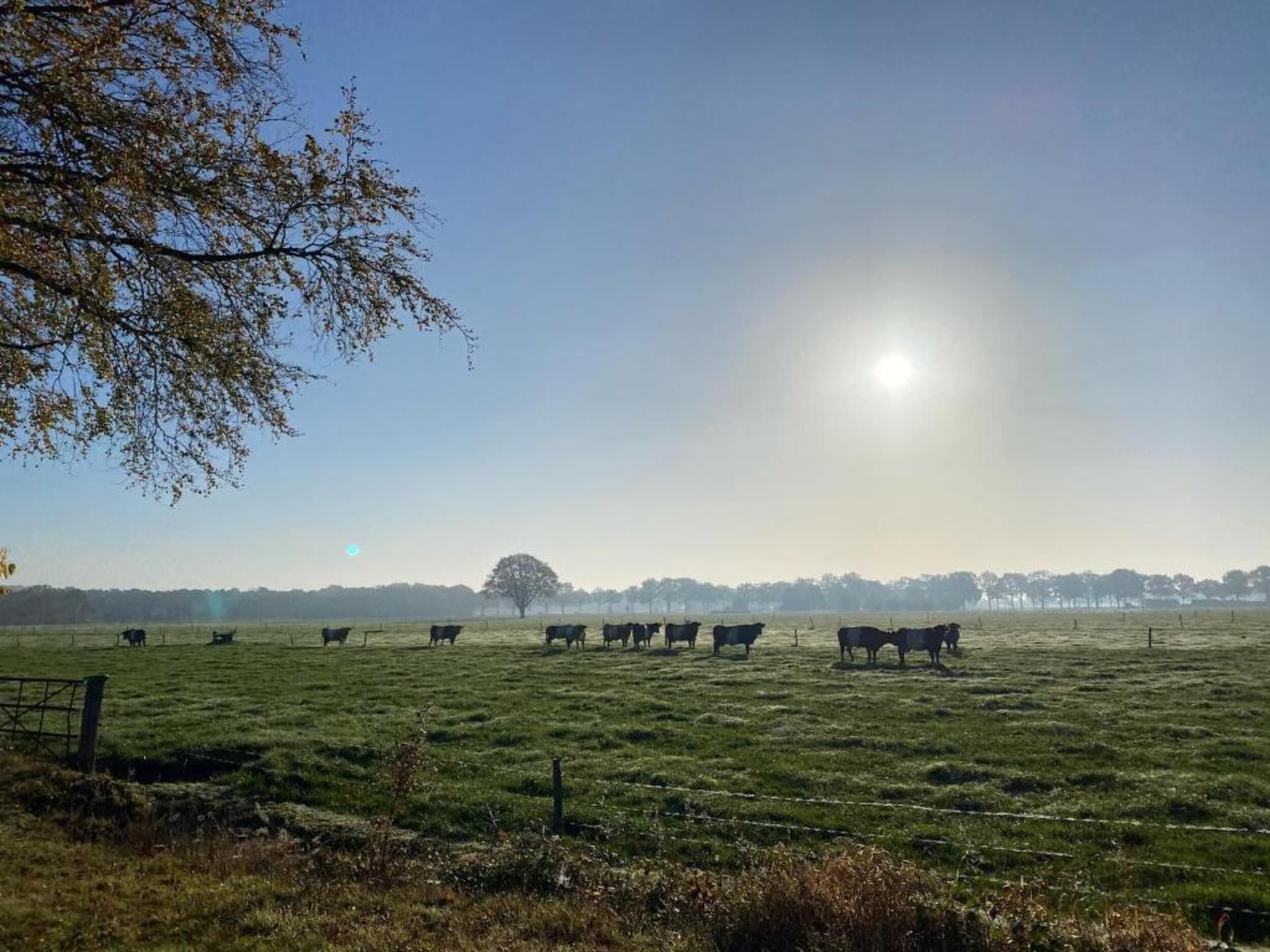 Vakantiepark De Lochemse Berg 1 in Lochem - Foto 24 van 40