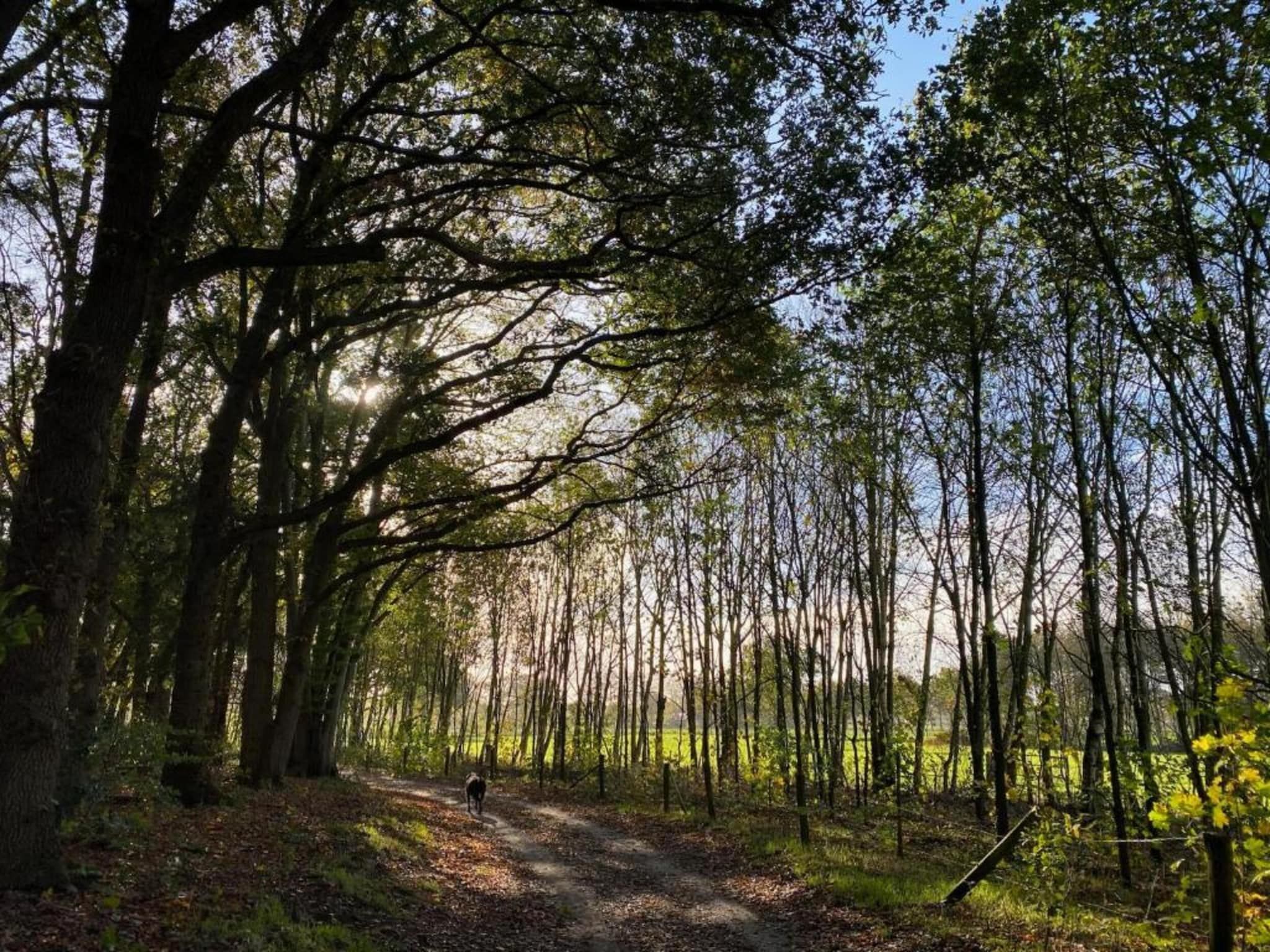 Vakantiepark De Lochemse Berg 1 in Lochem - Foto 27 van 40